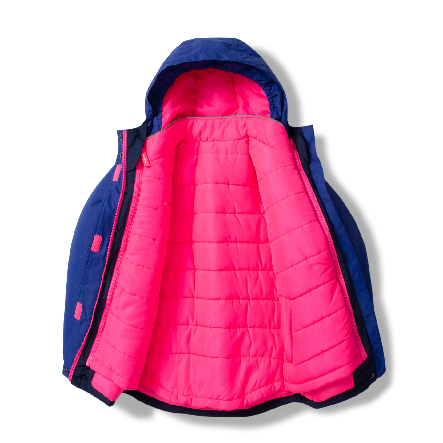 #color_pop pink