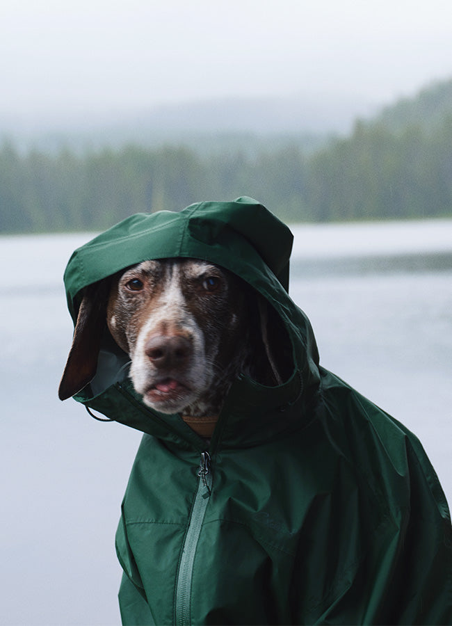 Jackets & Outerwear