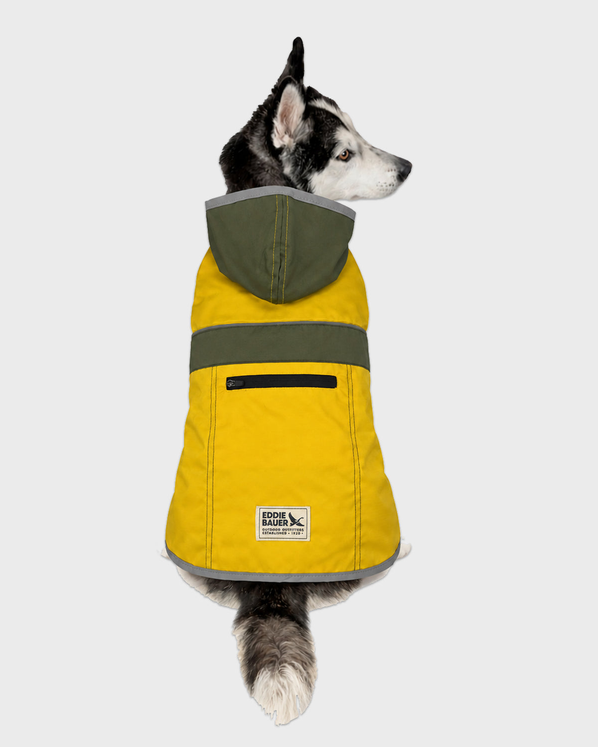 Dog Aldwell Windbreaker Raincoat Gold/Green