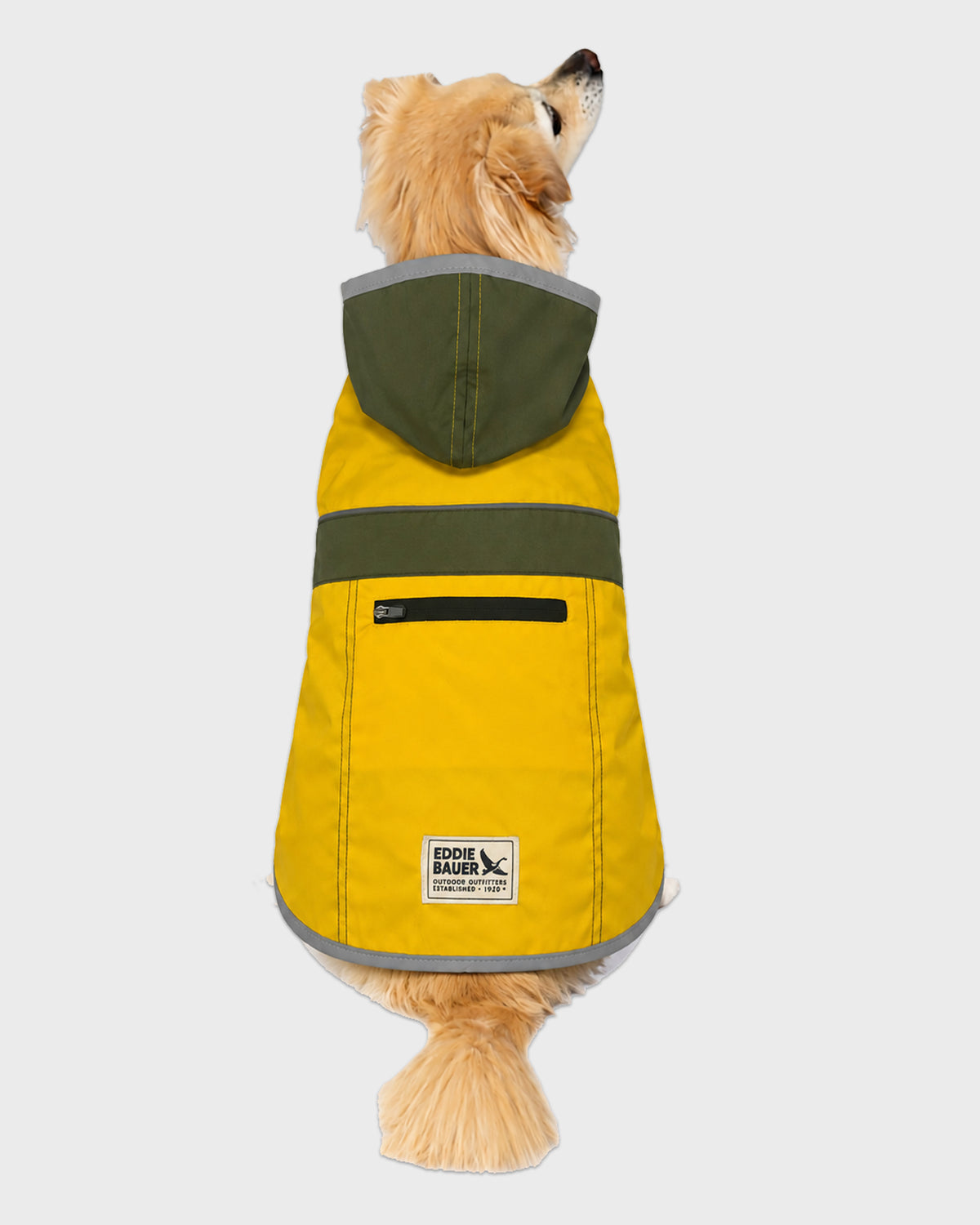 Dog Aldwell Windbreaker Raincoat Gold/Green