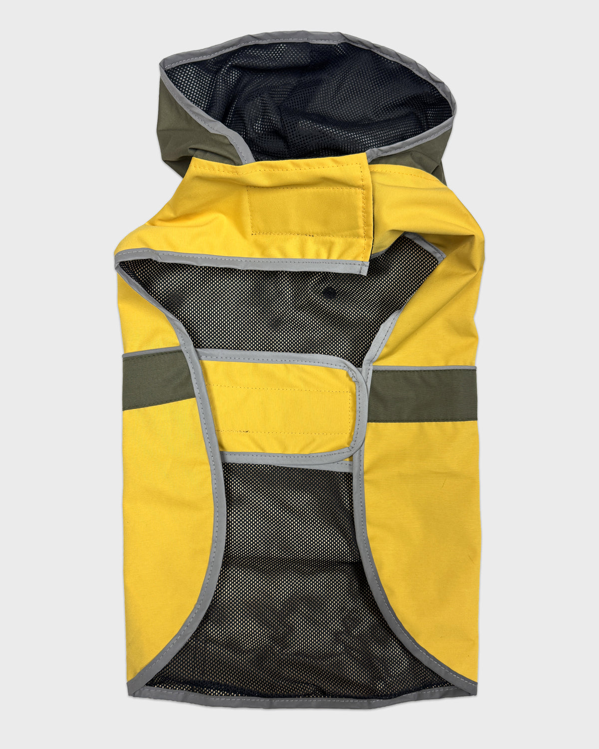 Dog Aldwell Windbreaker Raincoat Gold/Green