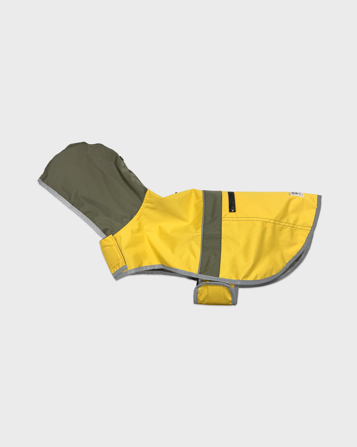 Dog Aldwell Windbreaker Raincoat Gold/Green