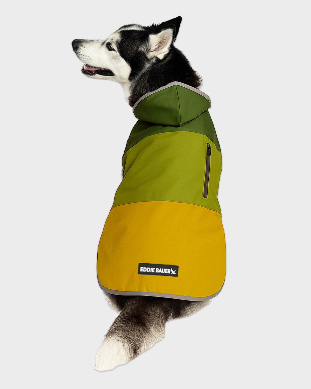 Dog Windbreaker Ravenna