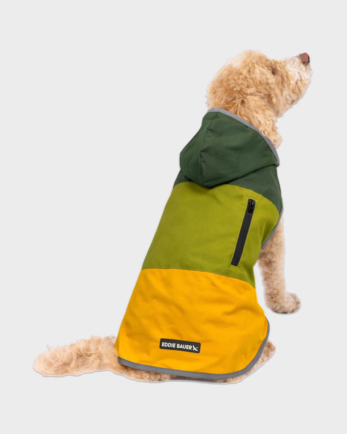 Dog Windbreaker Ravenna
