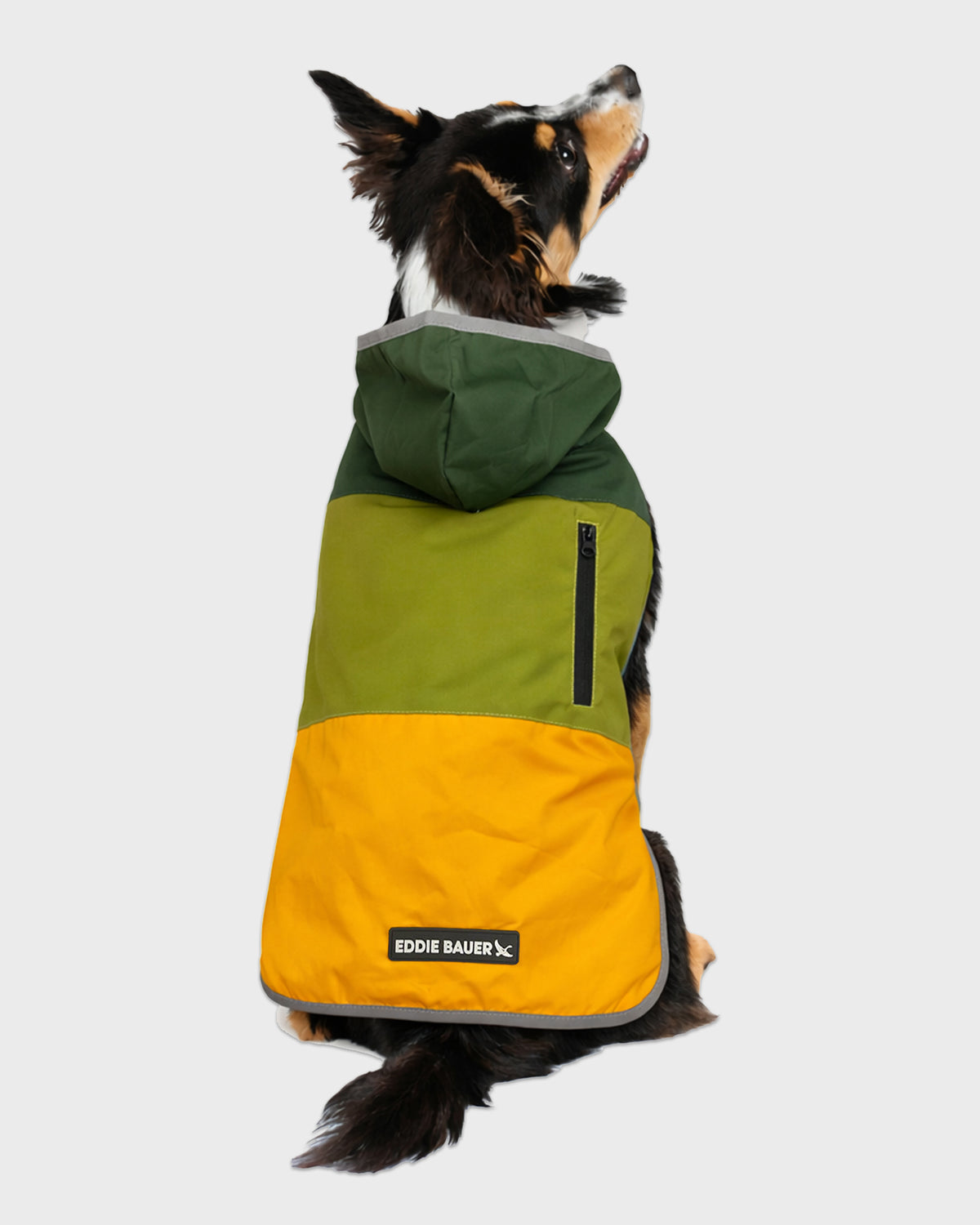 Dog Windbreaker Ravenna