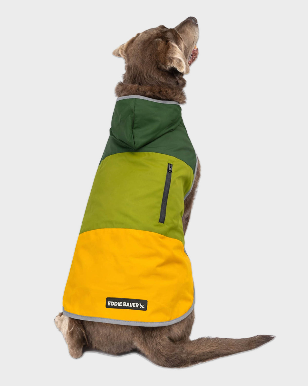 Dog Windbreaker Ravenna