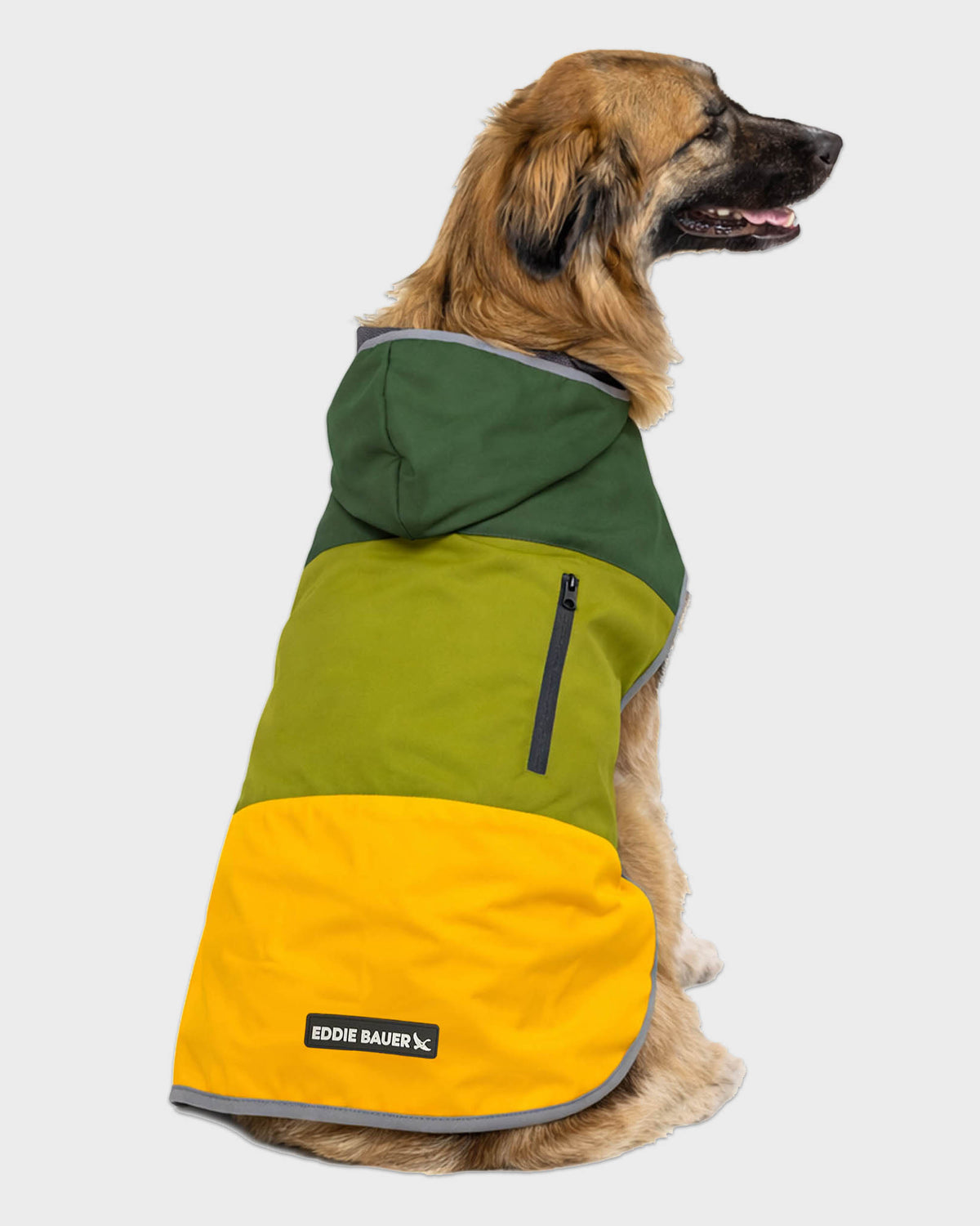 Dog Windbreaker Ravenna