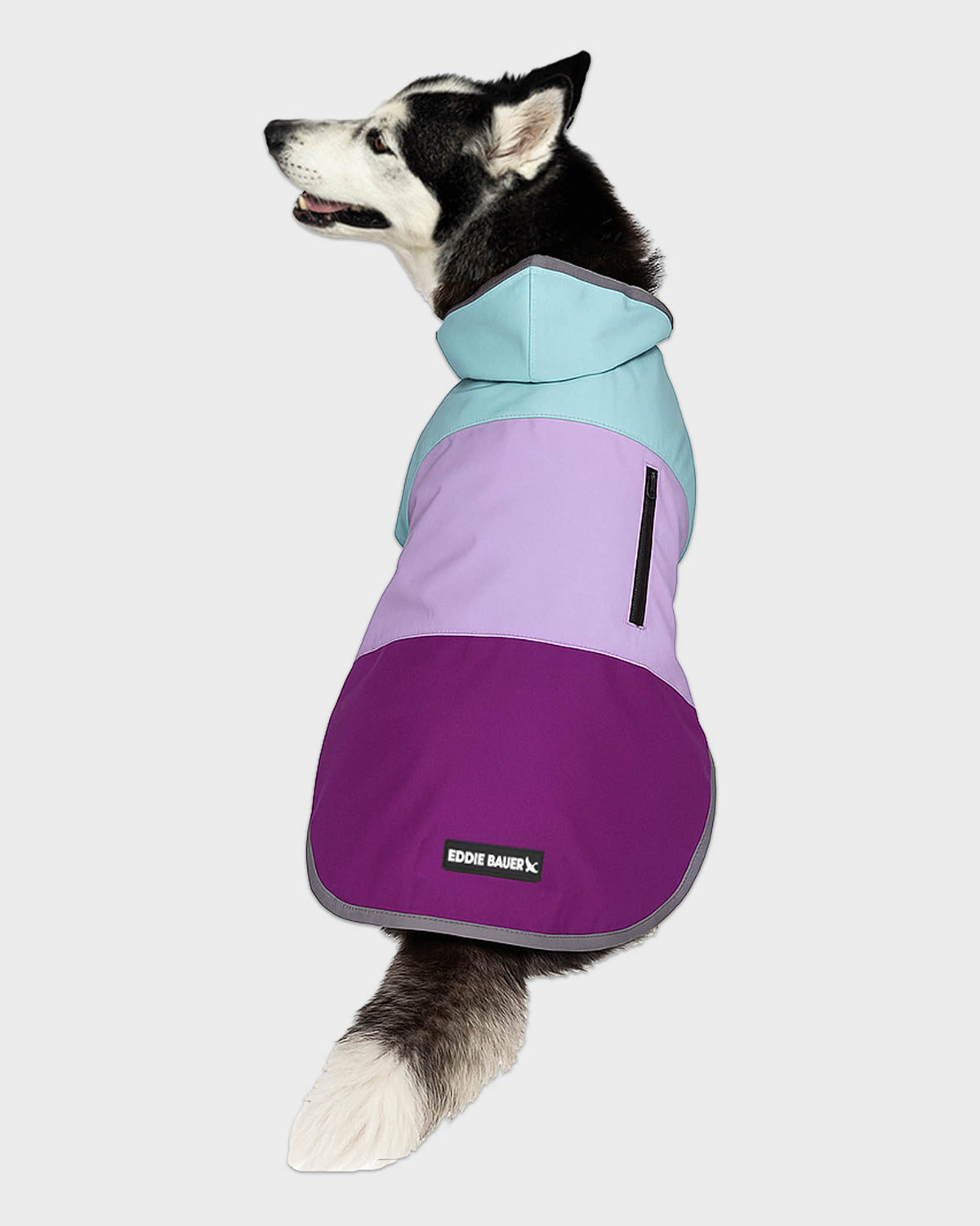 Dog Windbreaker Ravenna