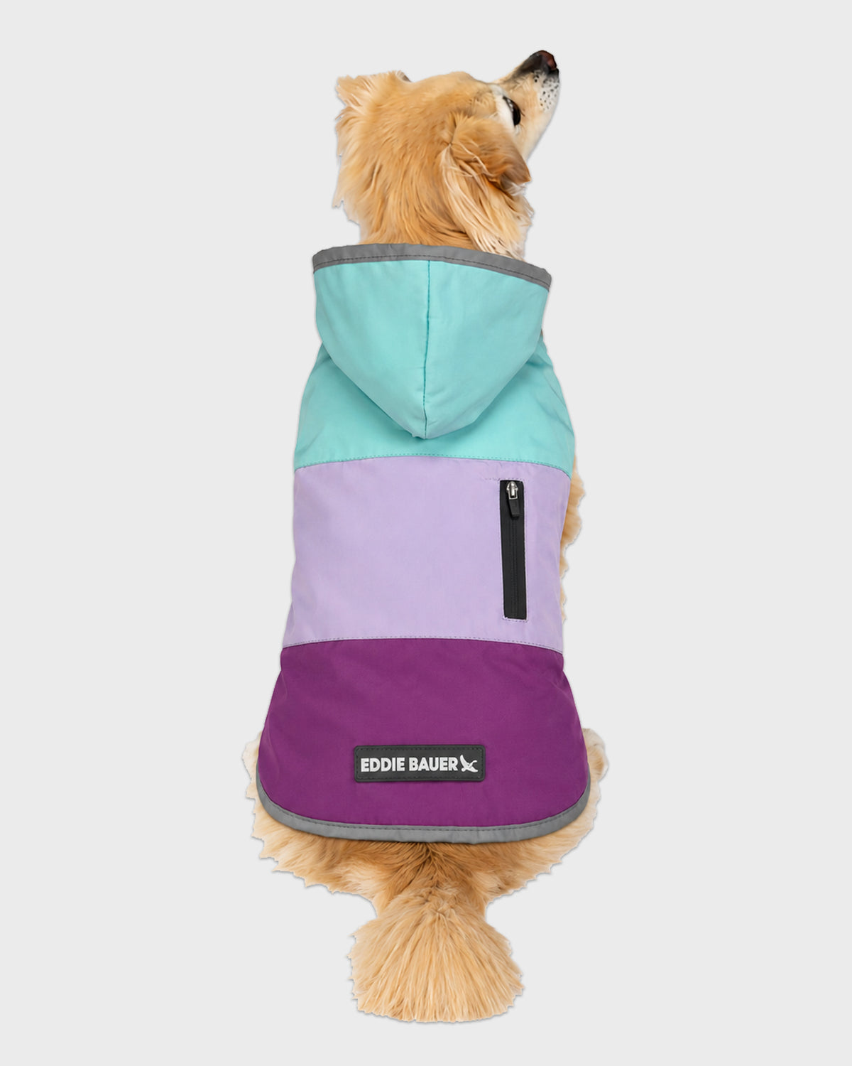 Dog Windbreaker Ravenna