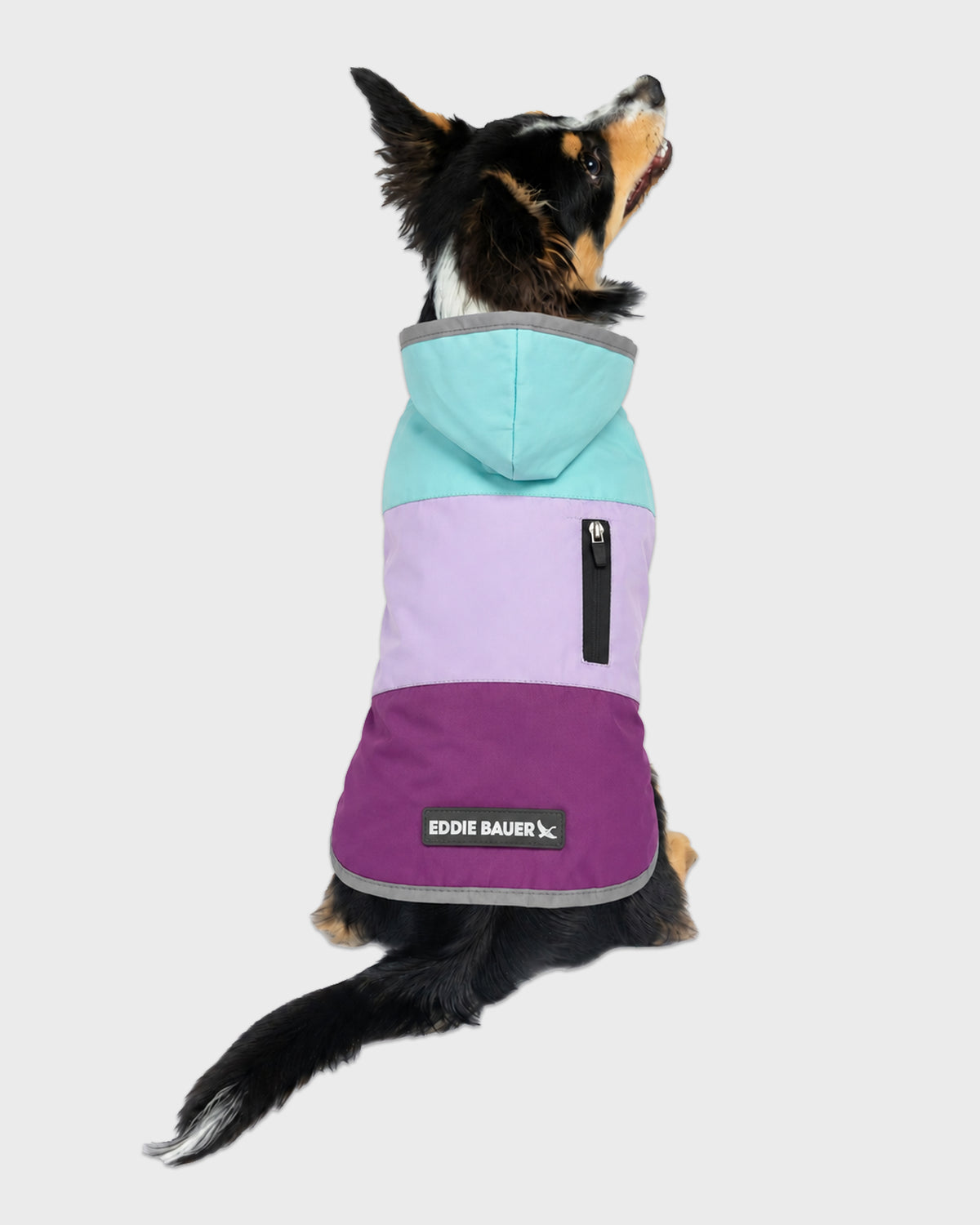 Dog Windbreaker Ravenna