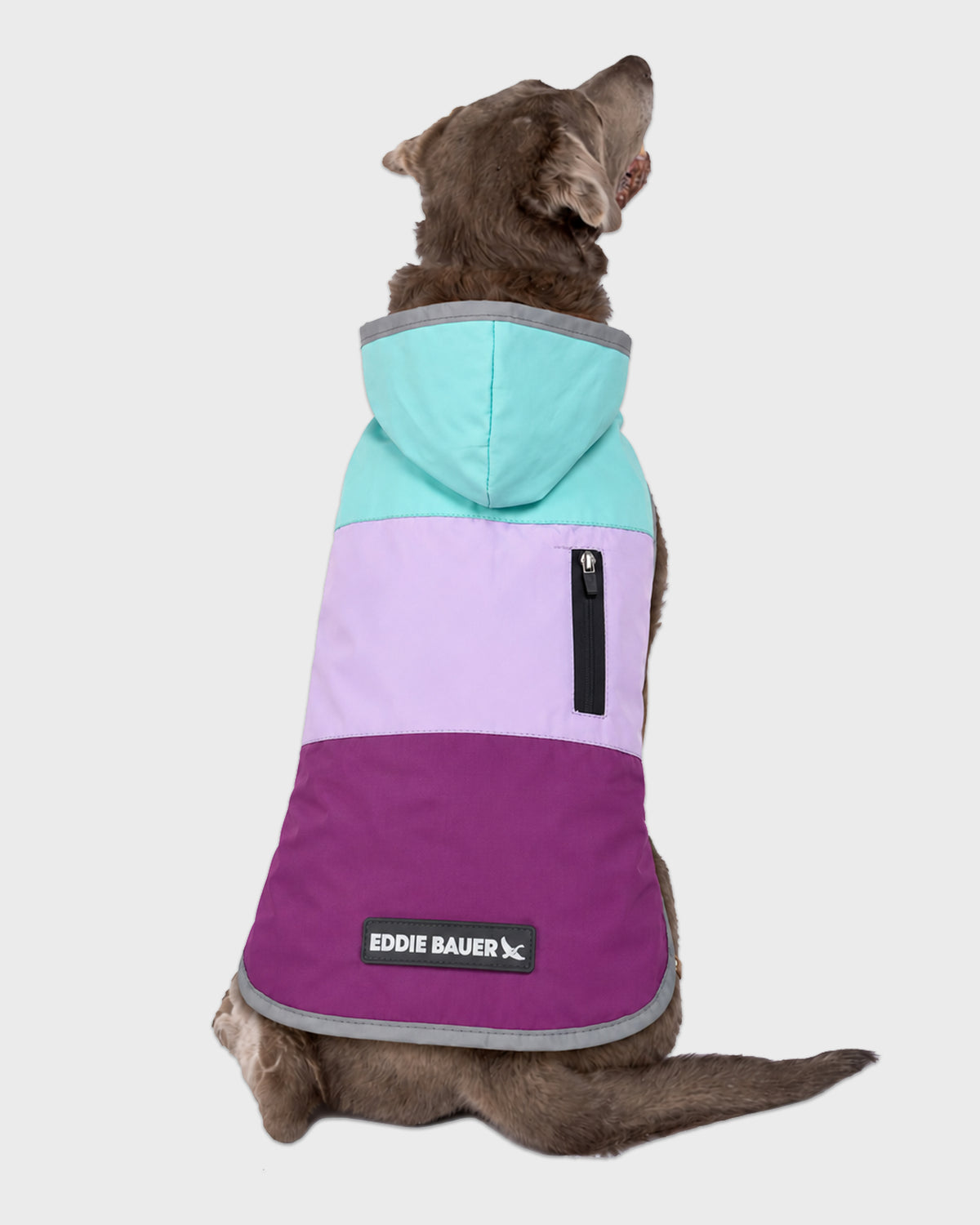 Dog Windbreaker Ravenna