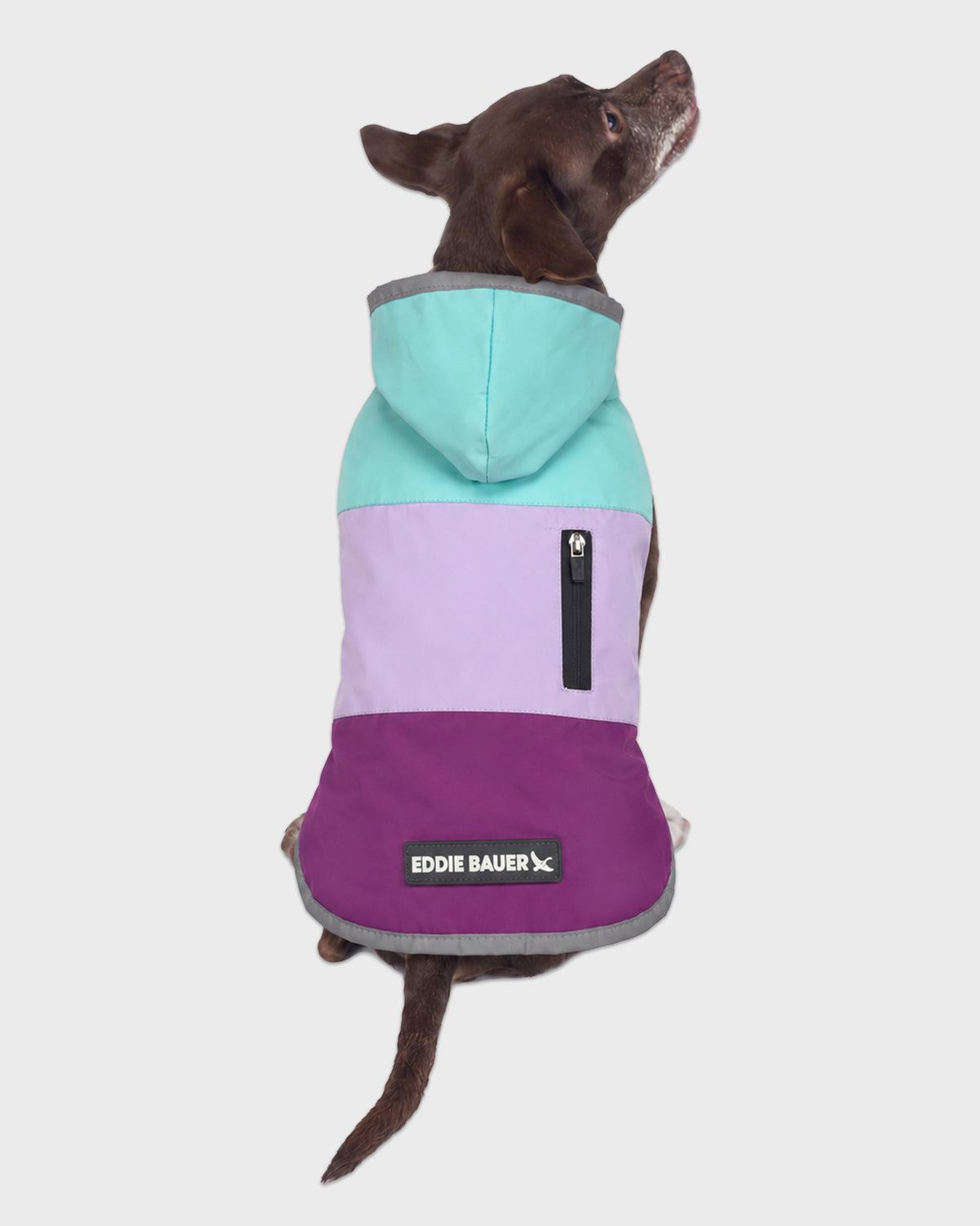 Dog Windbreaker Ravenna