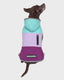 Aqua-Lilac