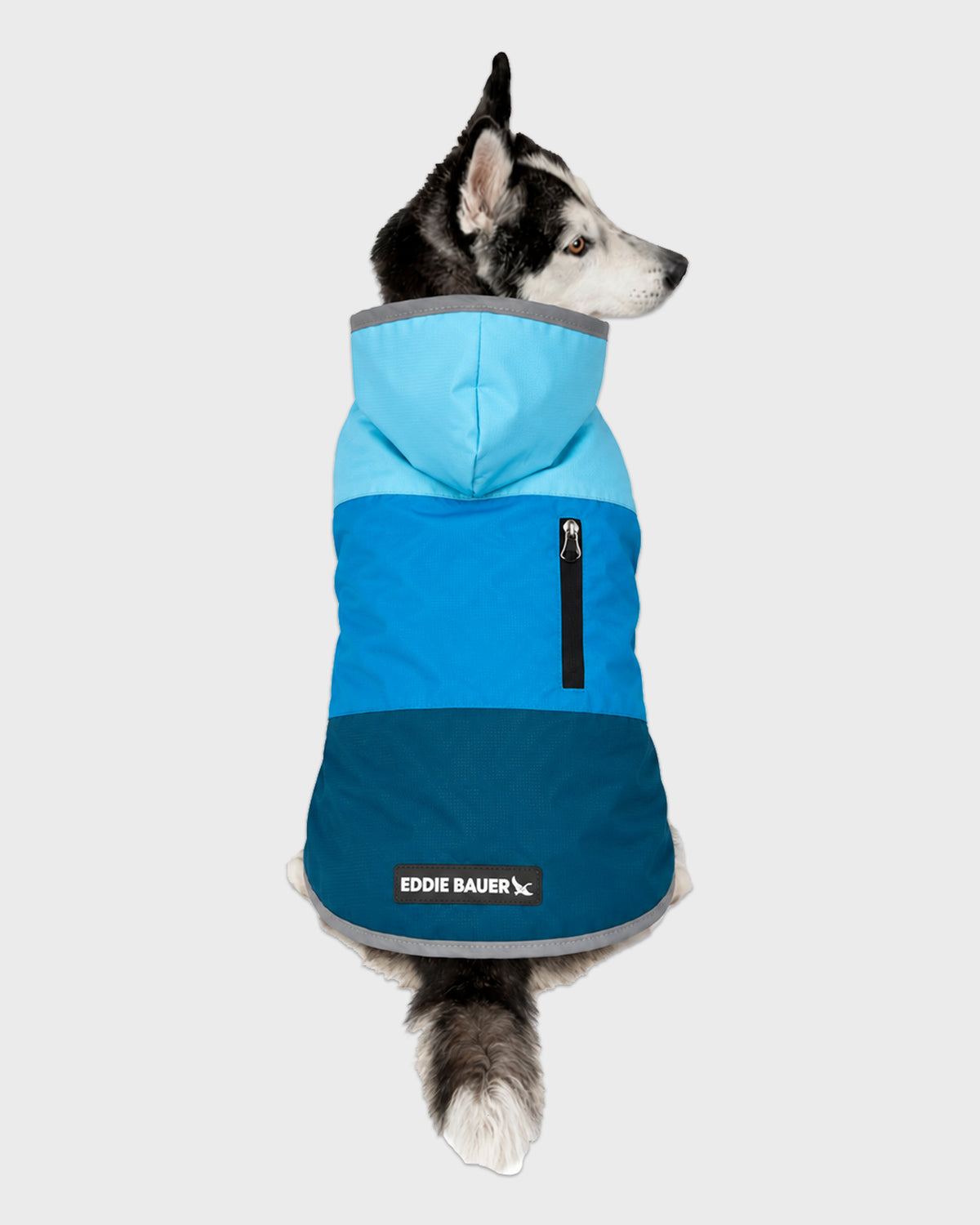 Dog Windbreaker Ravenna