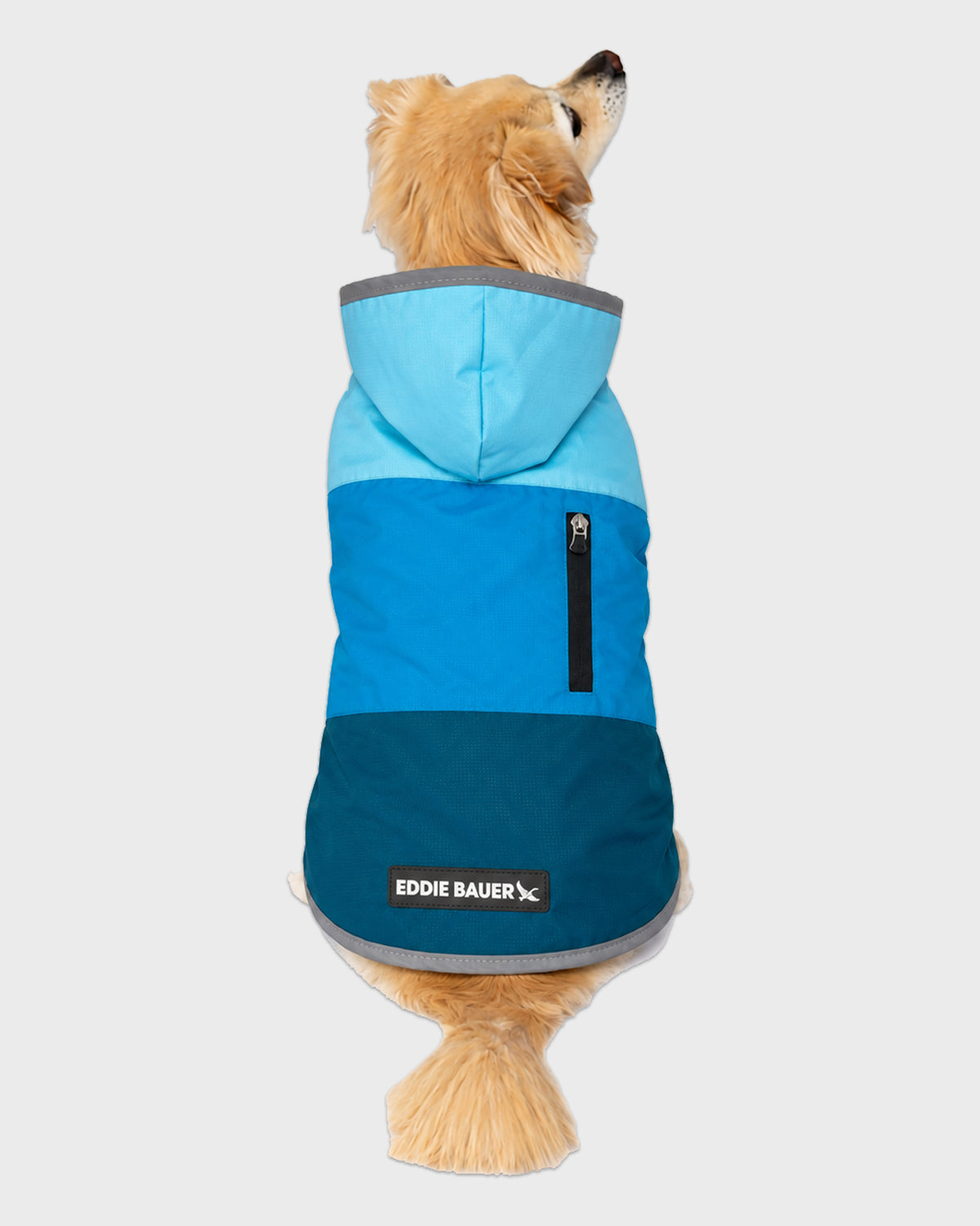 Dog Windbreaker Ravenna