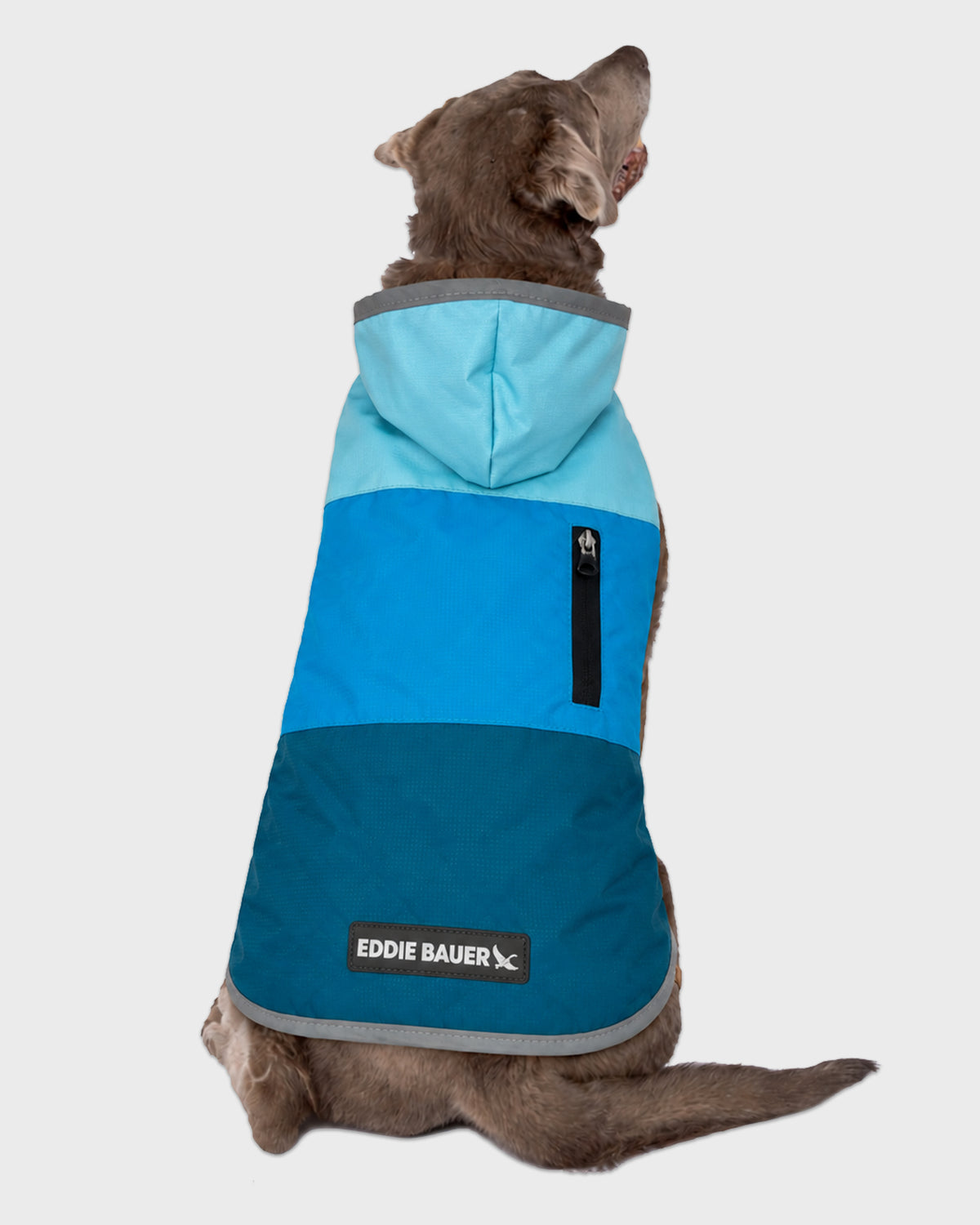 Dog Windbreaker Ravenna