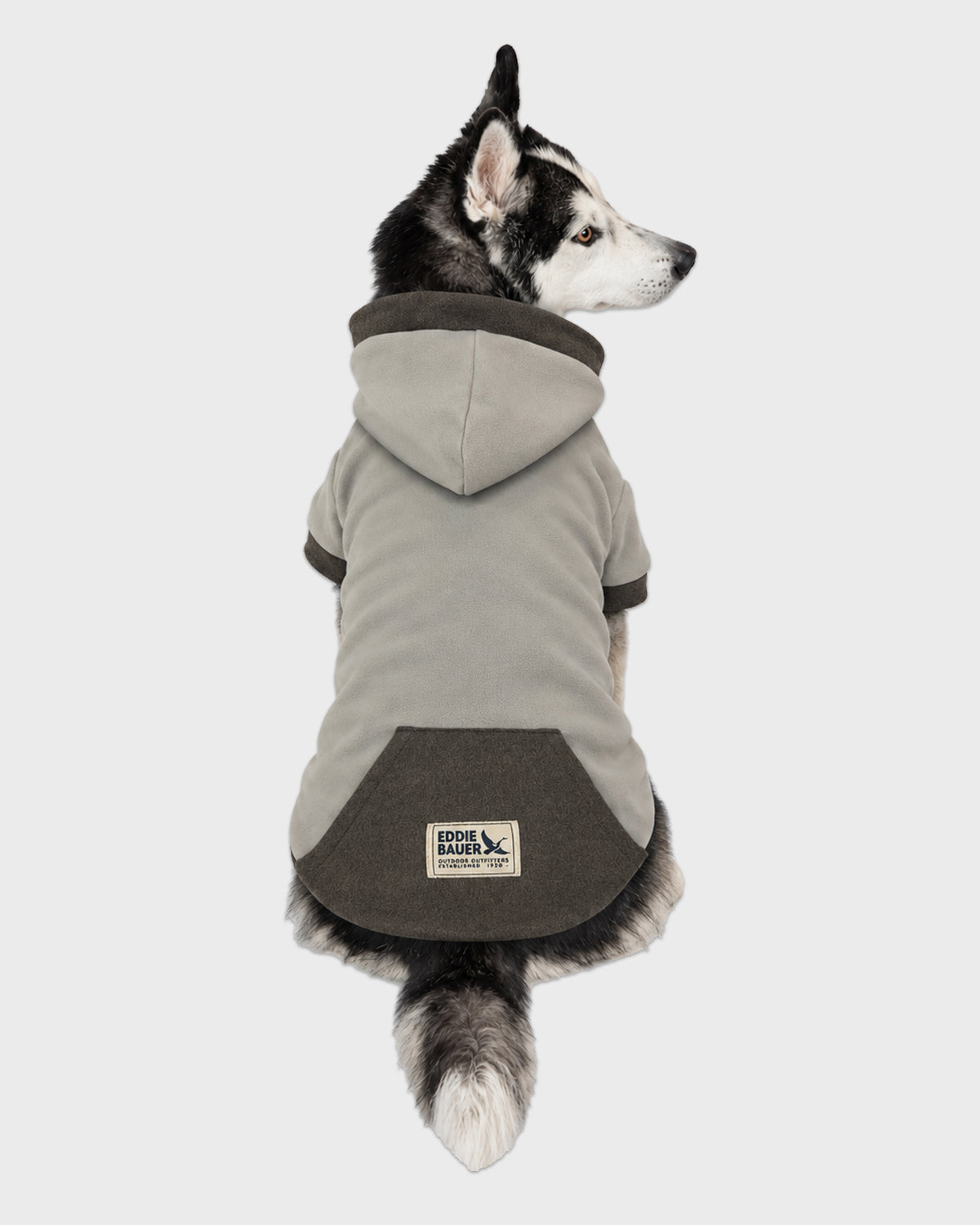 Dog Gray Hoodie with Charcoal Accent
