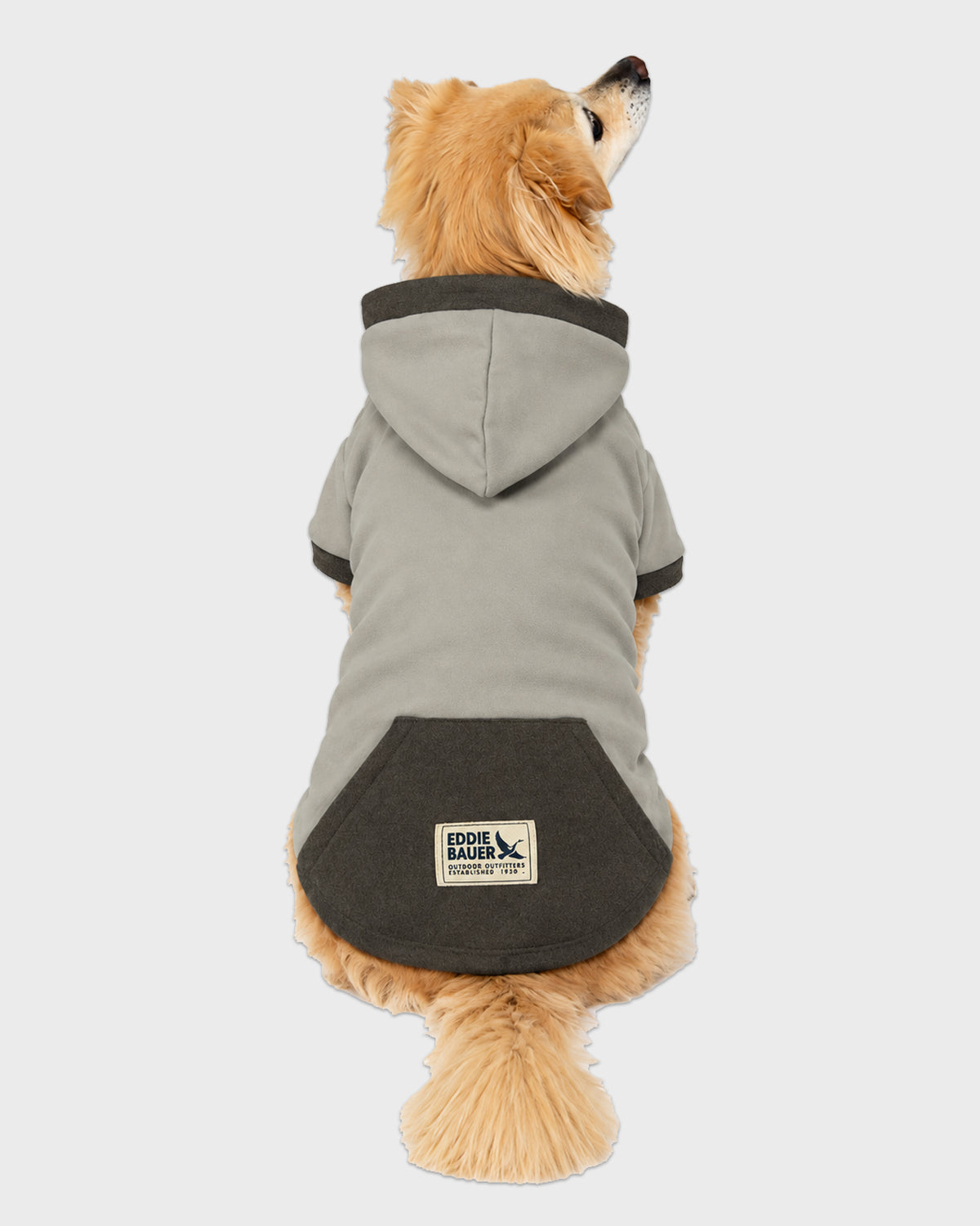 Dog Gray Hoodie with Charcoal Accent