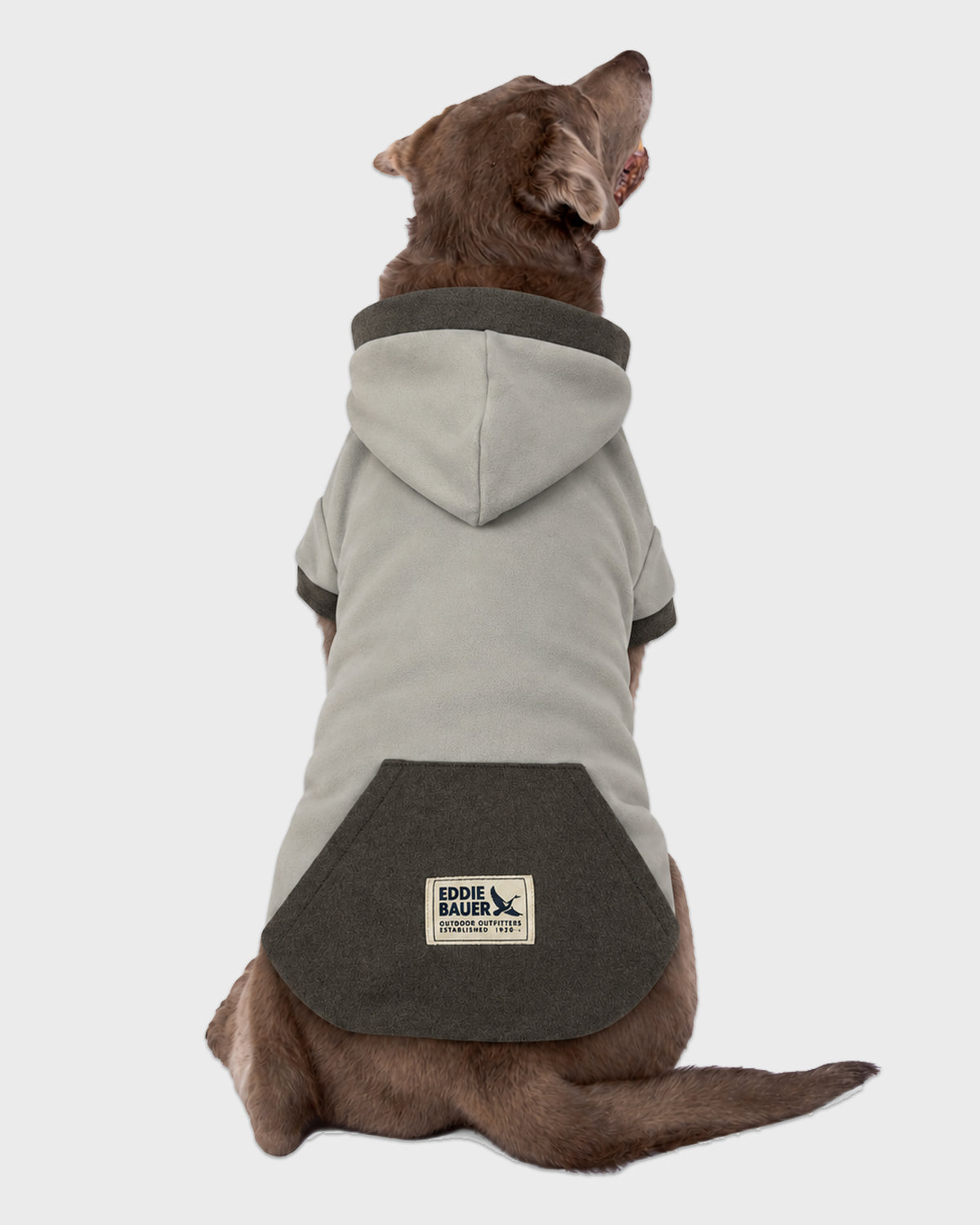 Dog Gray Hoodie with Charcoal Accent