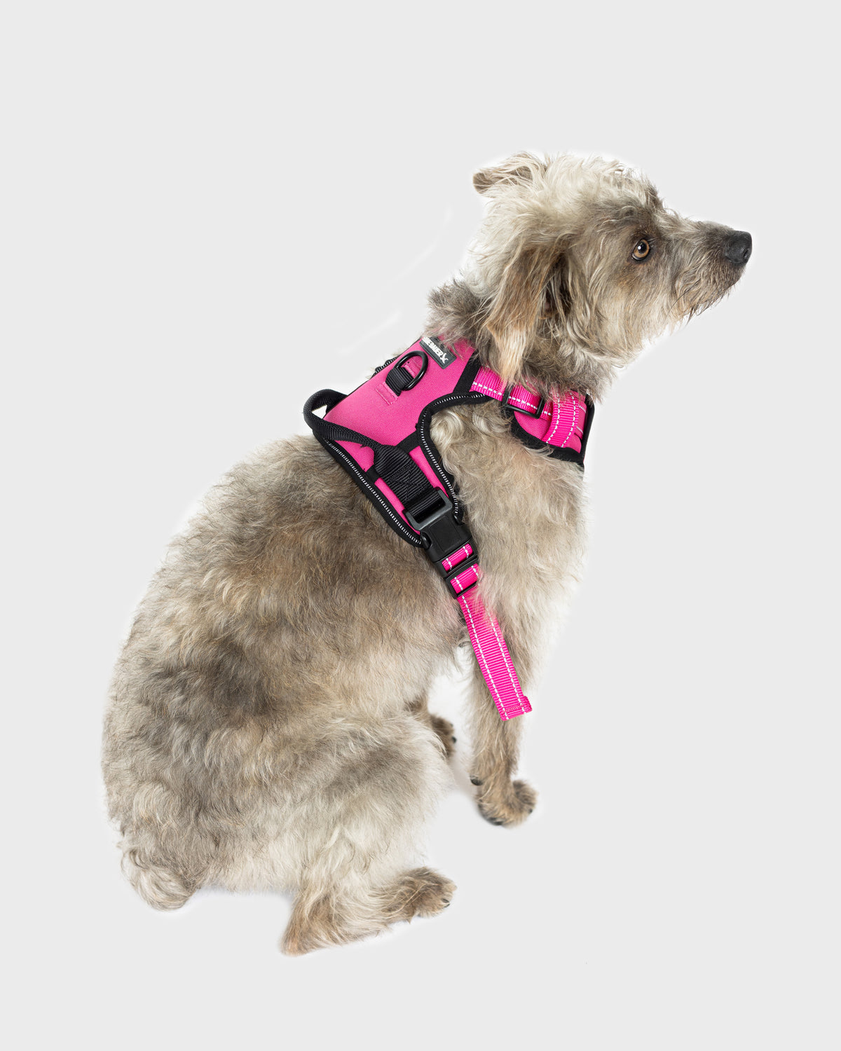 Dog Harness Comfort
