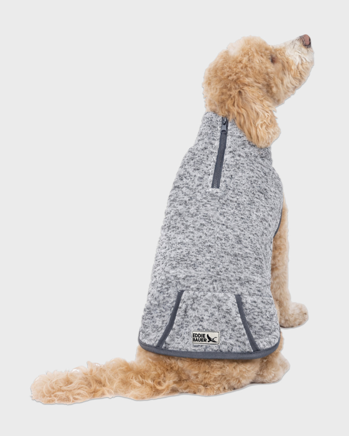 Dog Radiator 3/4 Zip Pullover