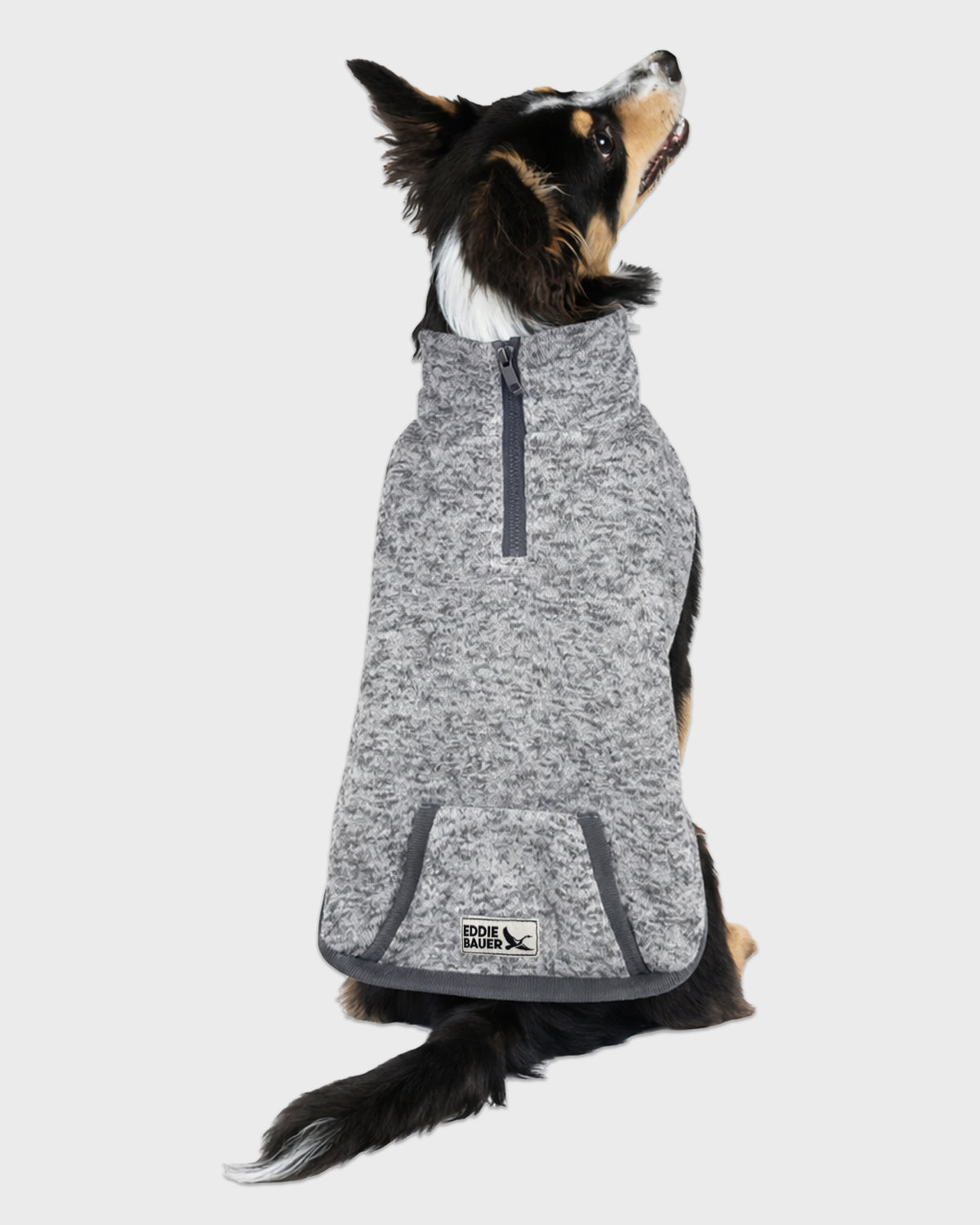 Dog Radiator 3/4 Zip Pullover