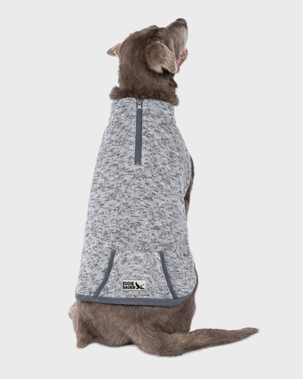 Dog Radiator 3/4 Zip Pullover