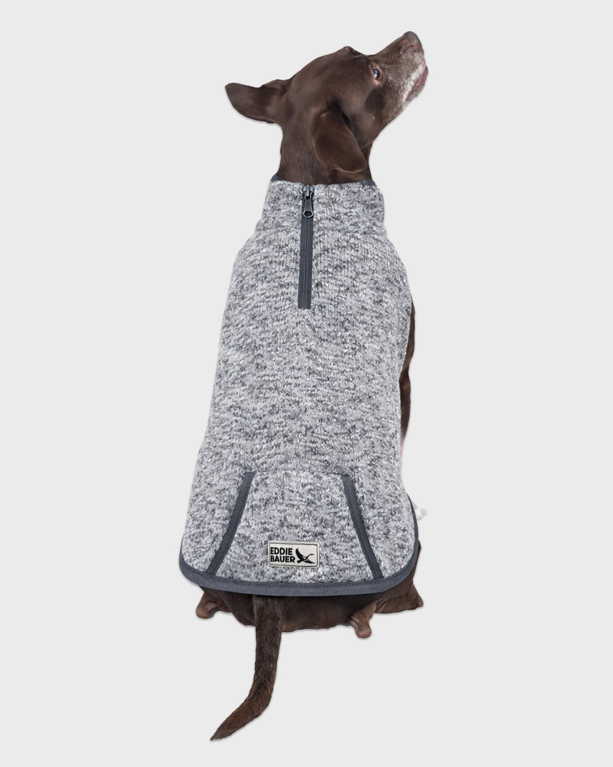 Dog Radiator 3/4 Zip Pullover