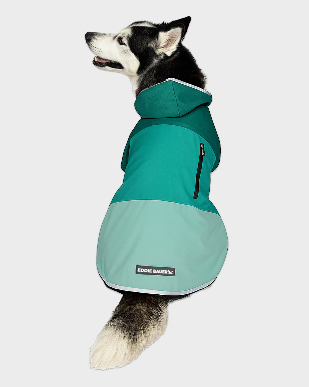 Dog Windbreaker Ravenna
