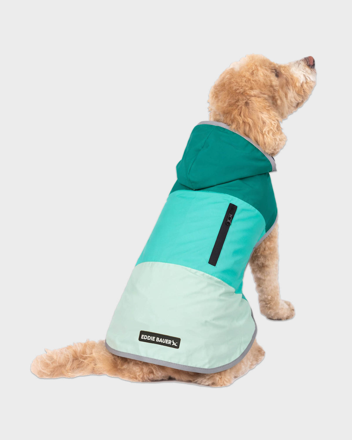 Dog Windbreaker Ravenna