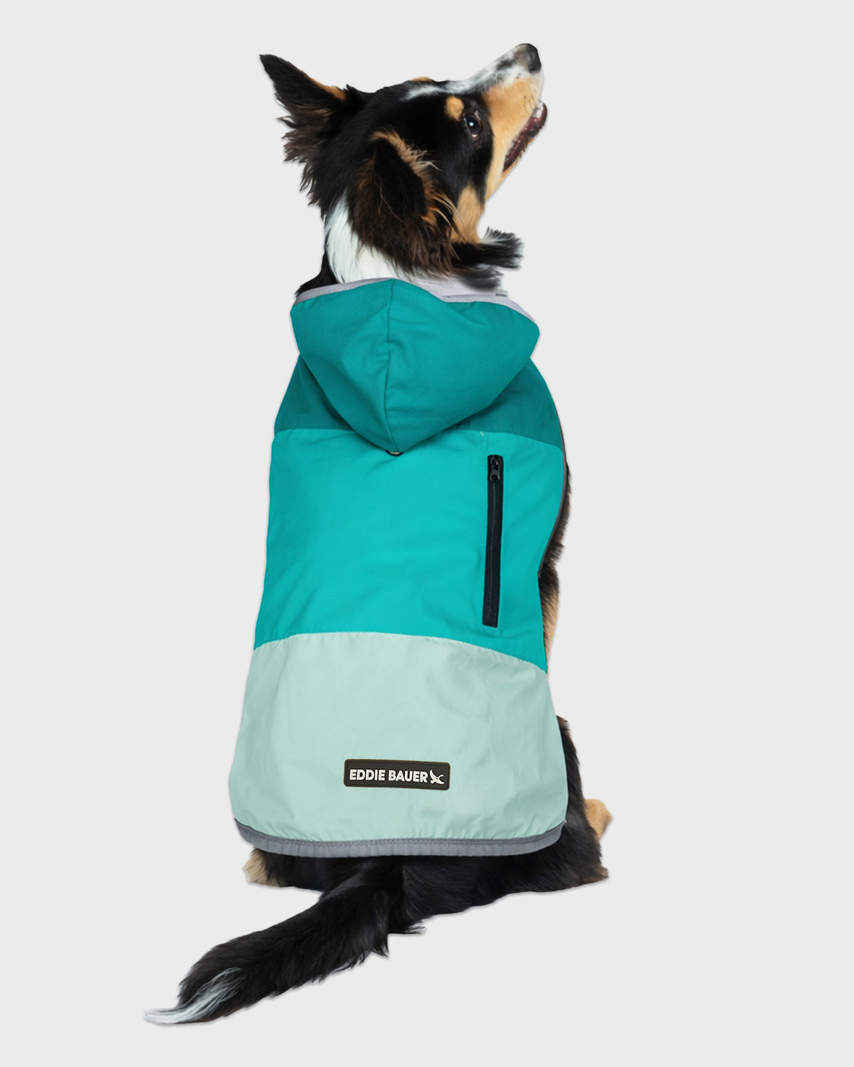 Dog Windbreaker Ravenna