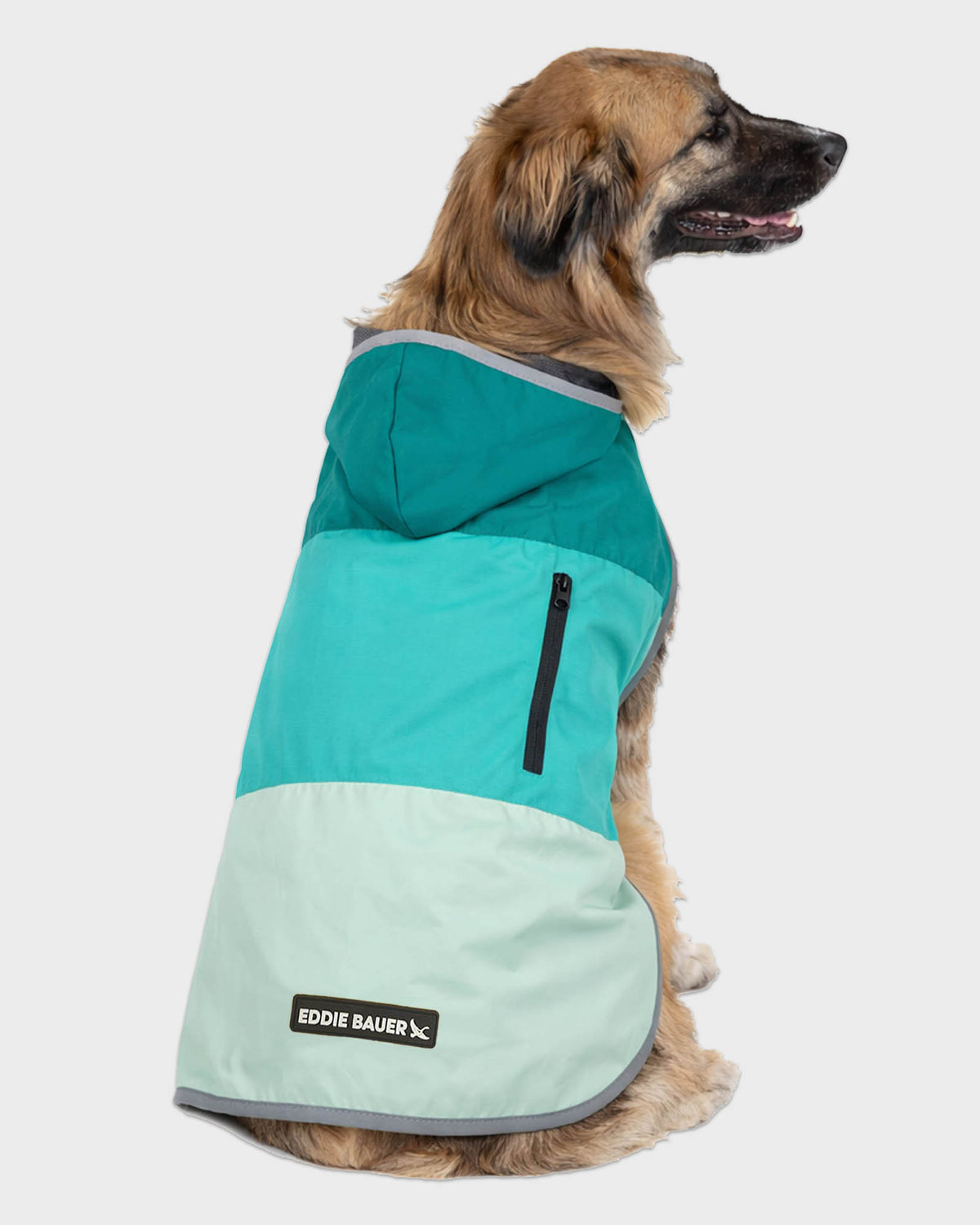 Dog Windbreaker Ravenna