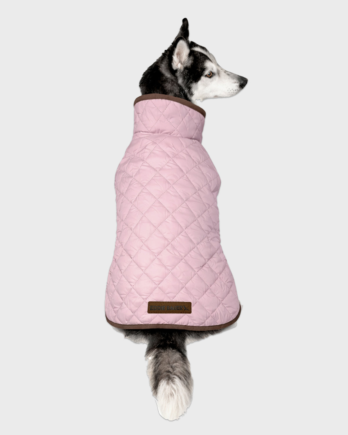 Dog Windbreaker Bandon Quilted