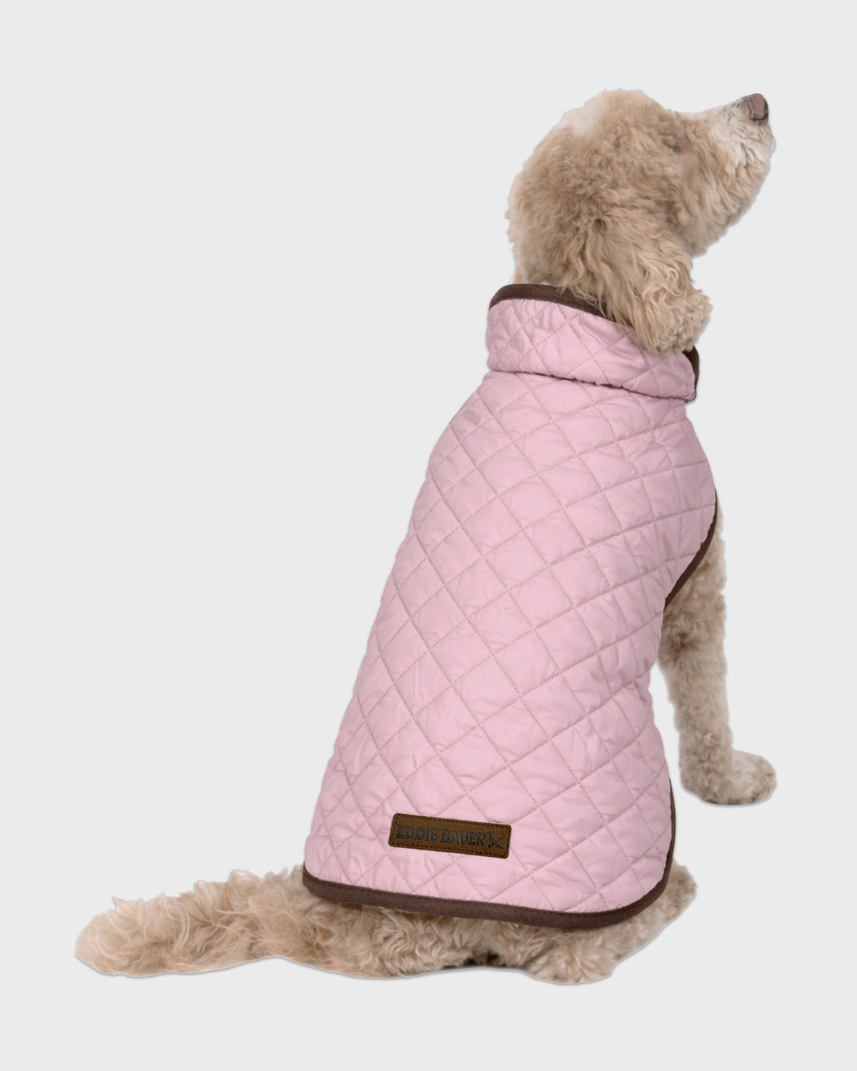 Dog Windbreaker Bandon Quilted