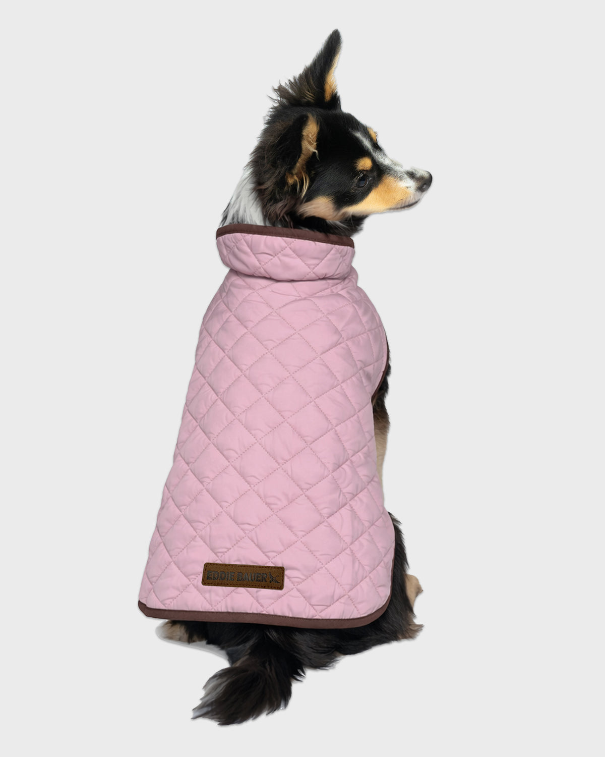 Dog Windbreaker Bandon Quilted