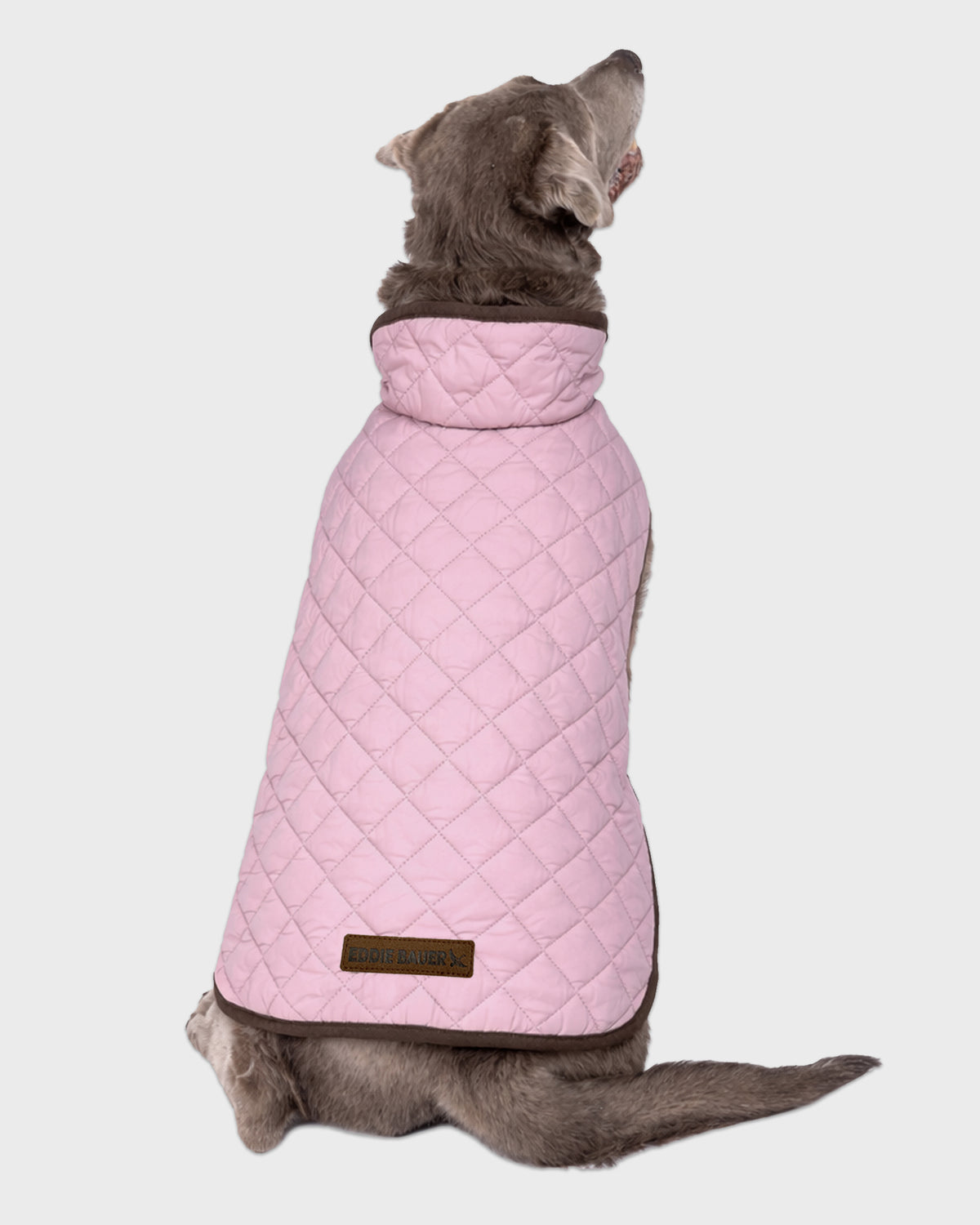 Dog Windbreaker Bandon Quilted