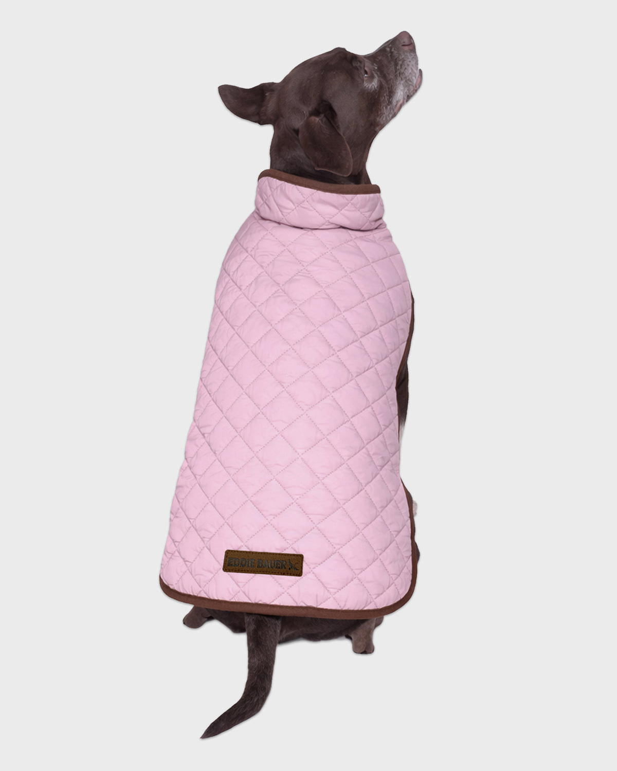 Dog Windbreaker Bandon Quilted