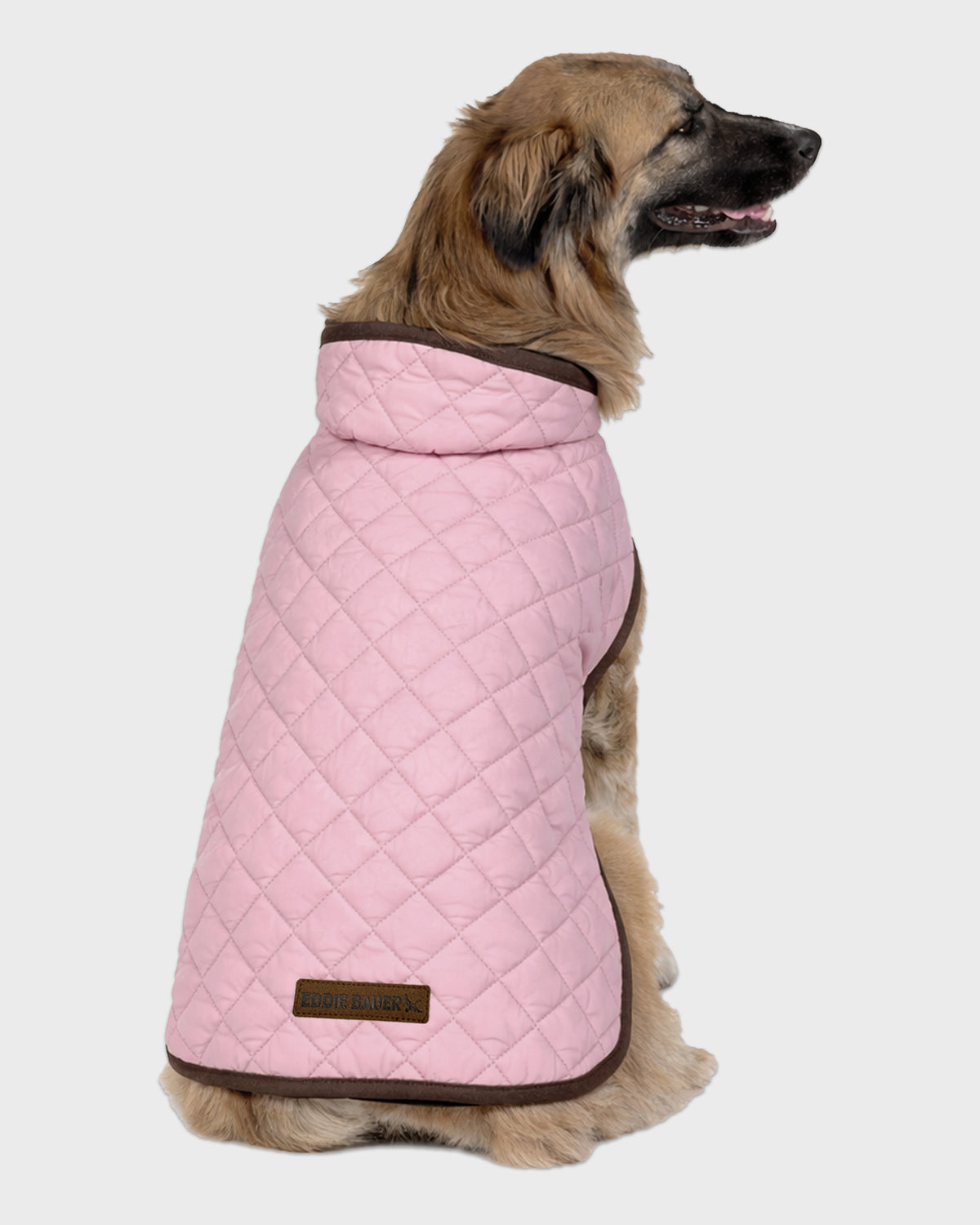 Dog Windbreaker Bandon Quilted