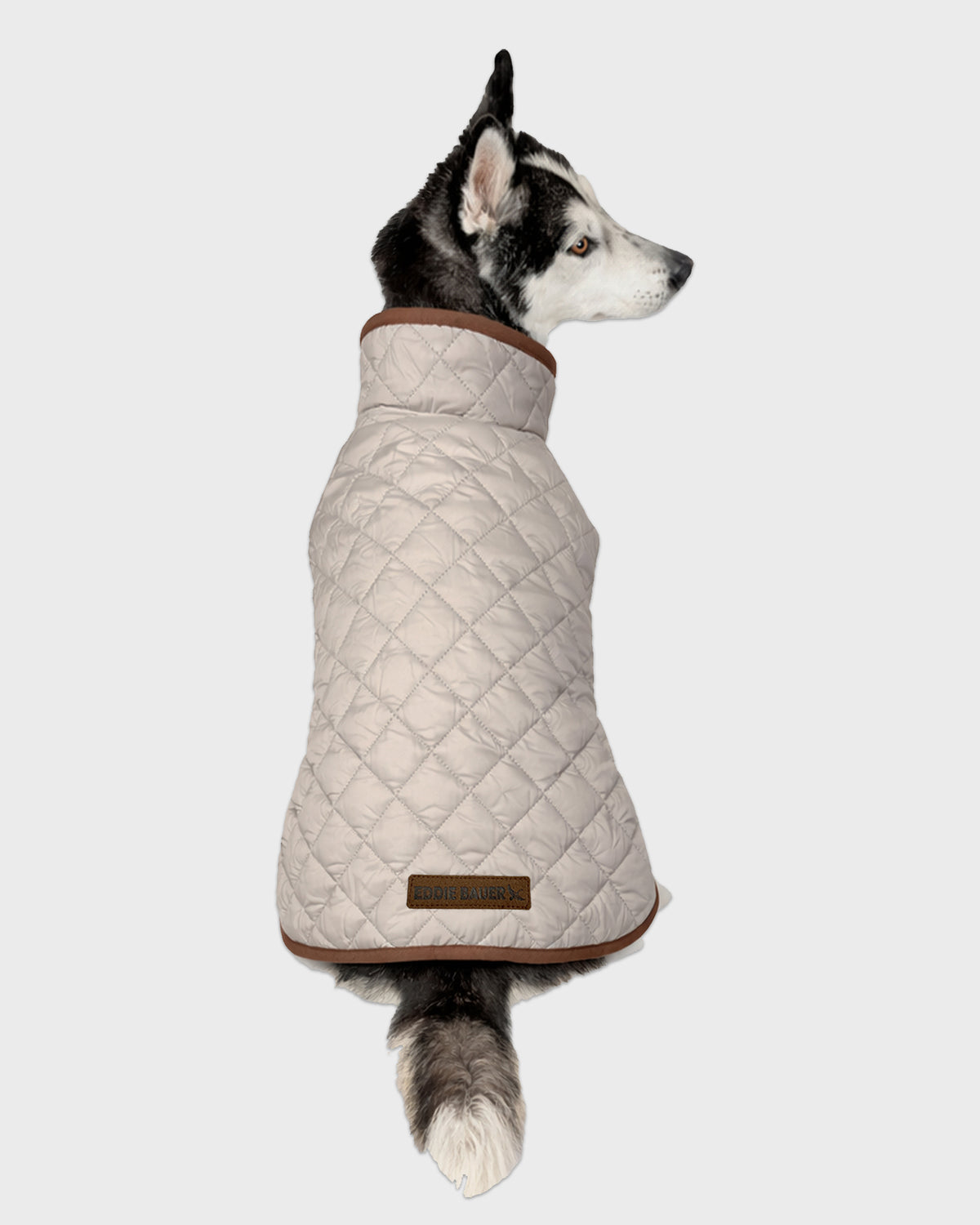 Dog Windbreaker Bandon Quilted