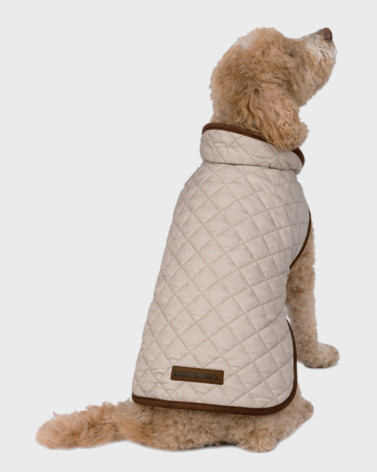 Dog Windbreaker Bandon Quilted