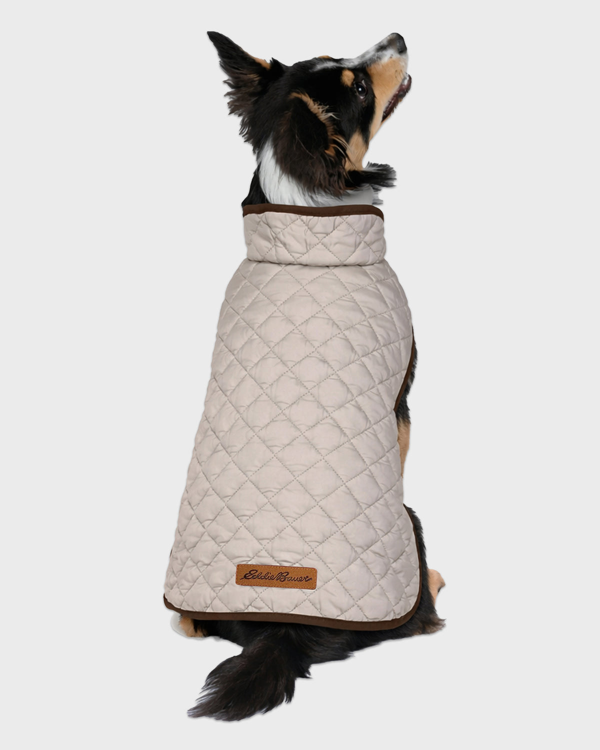 Dog Windbreaker Bandon Quilted