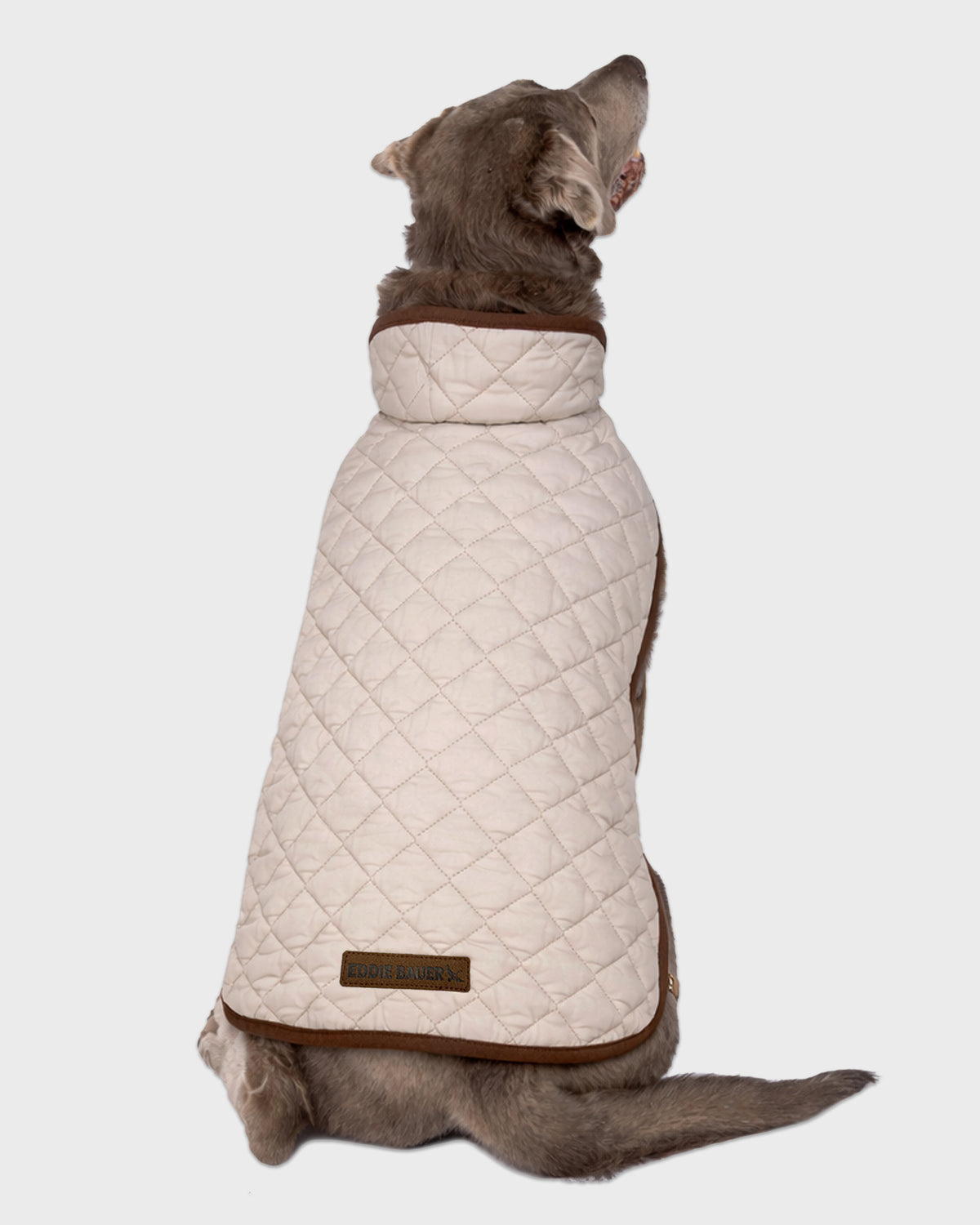 Dog Windbreaker Bandon Quilted