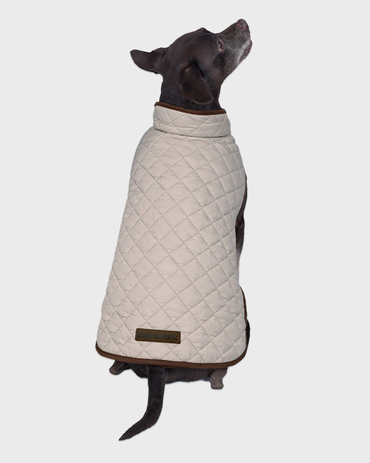 Dog Windbreaker Bandon Quilted