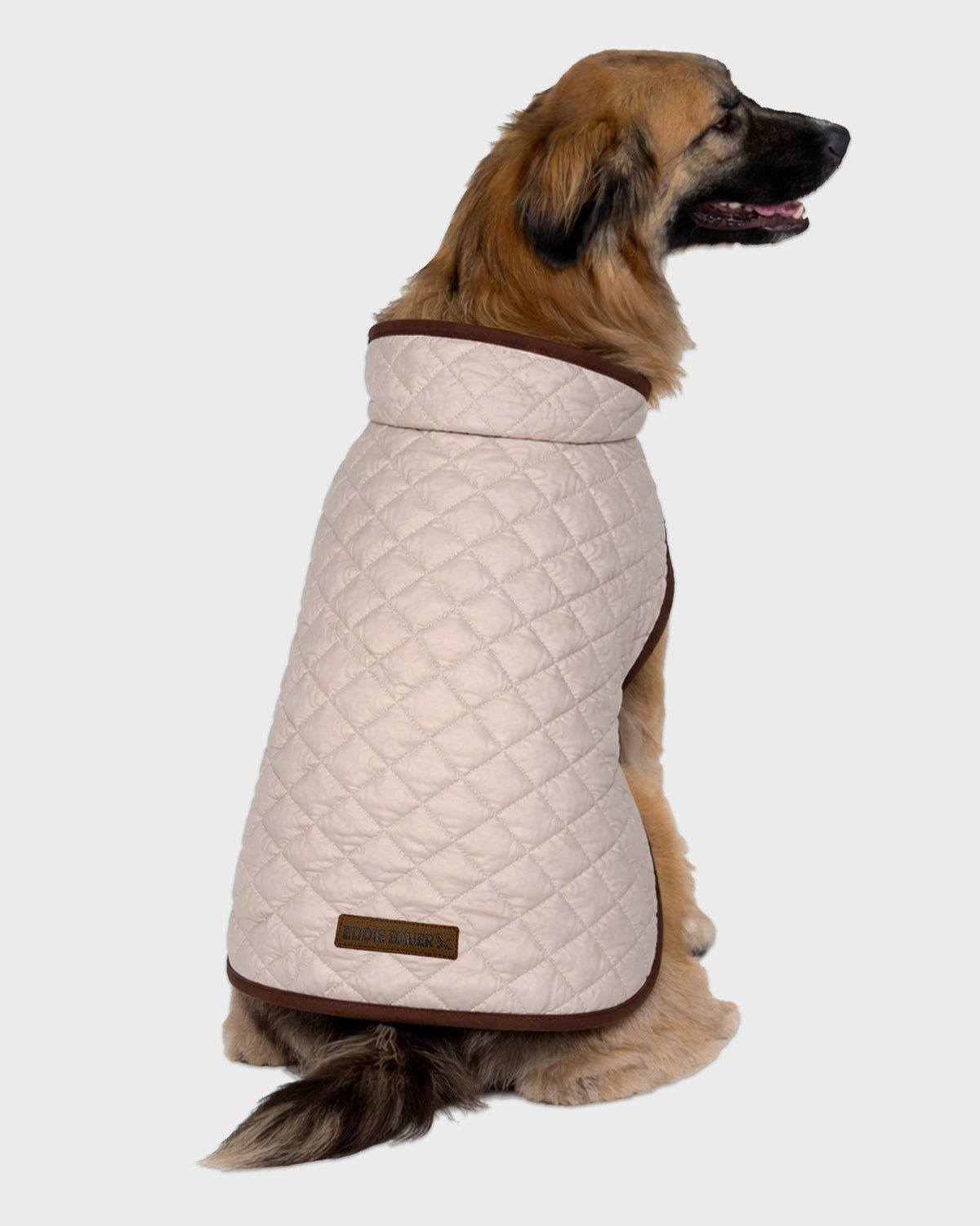 Dog Windbreaker Bandon Quilted