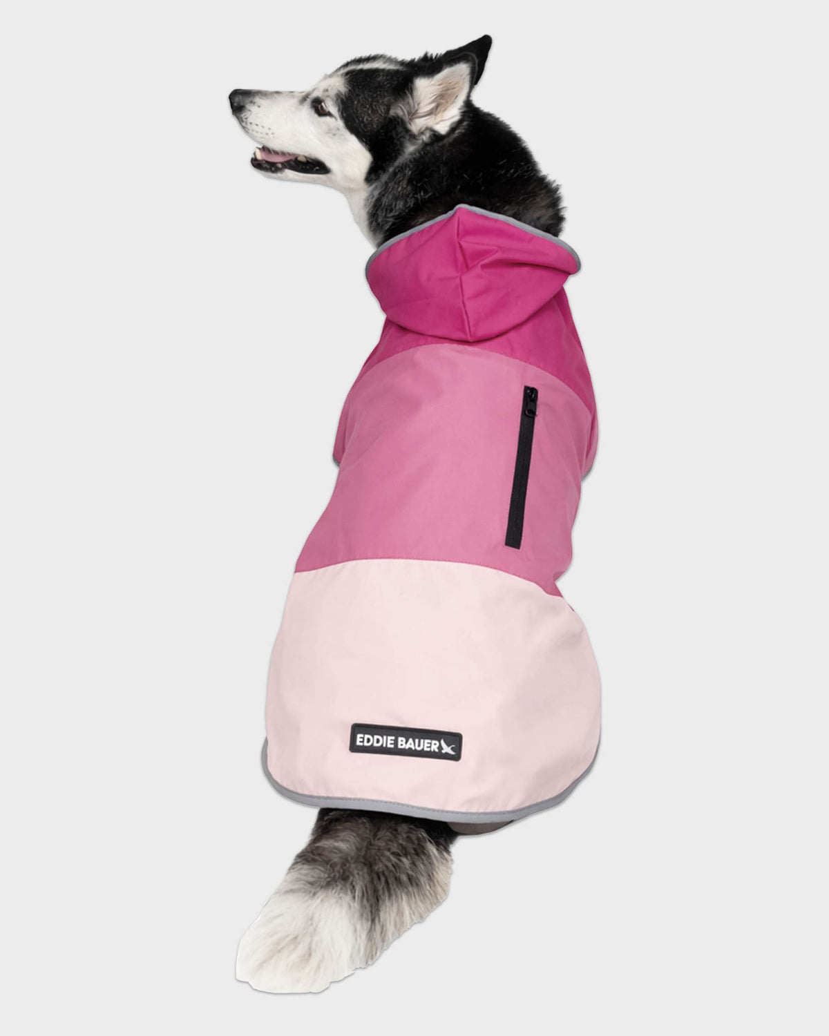 Dog Windbreaker Ravenna