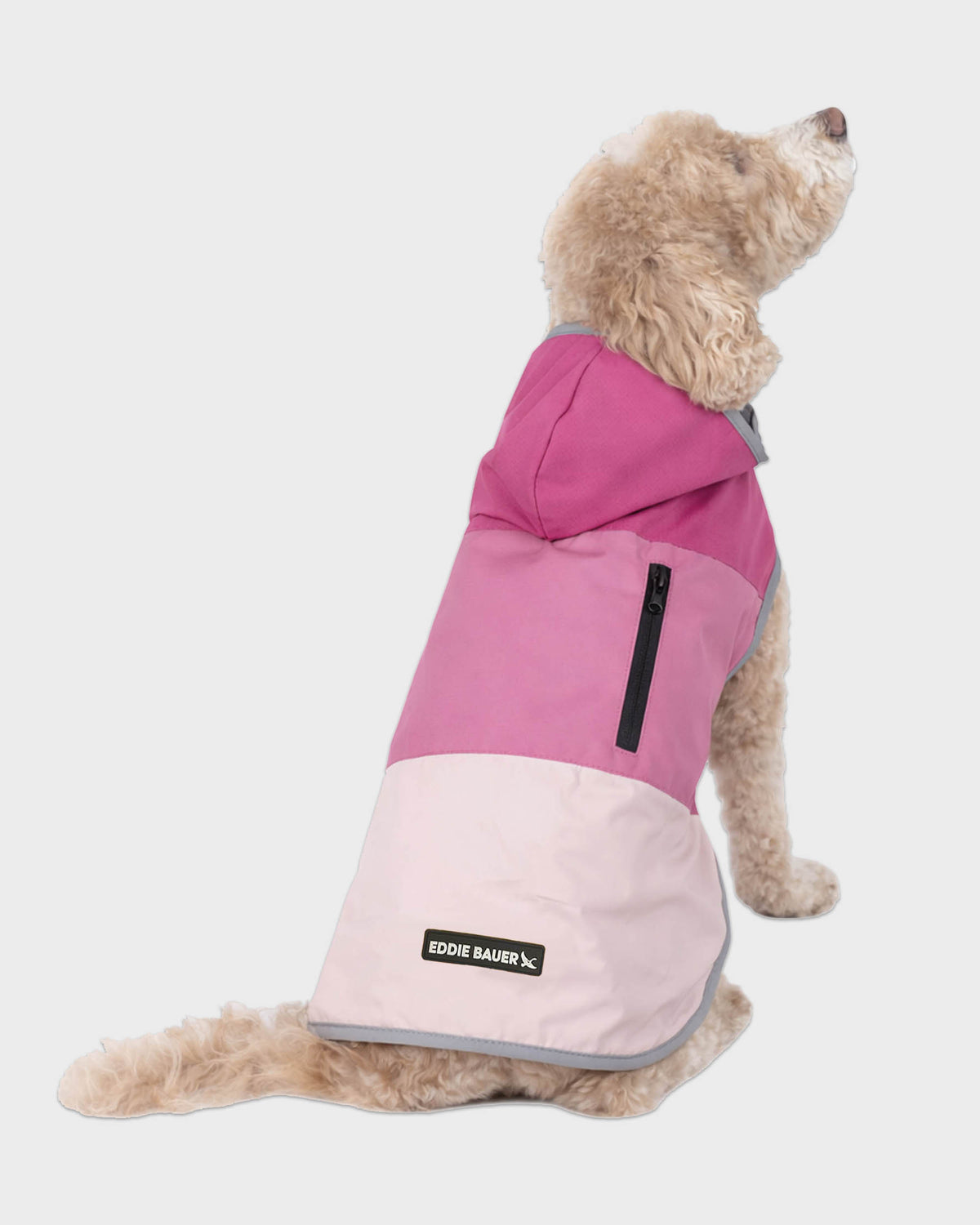 Dog Windbreaker Ravenna
