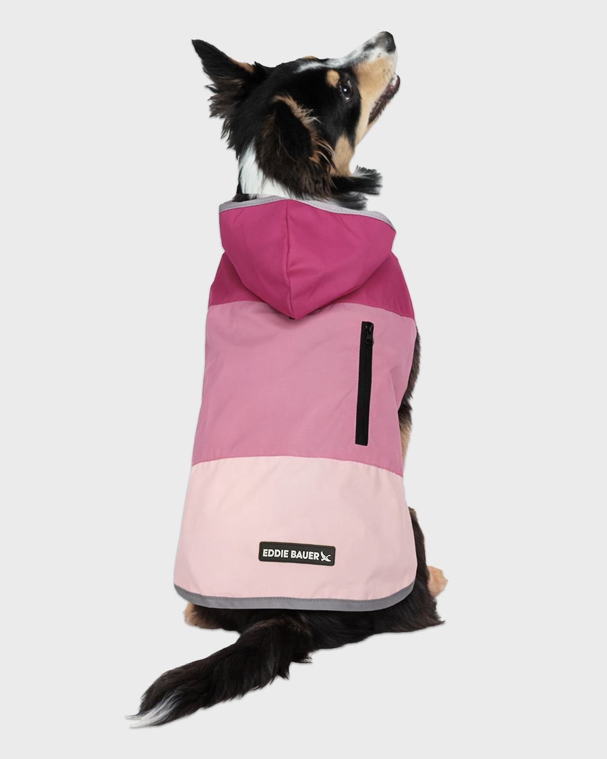 Dog Windbreaker Ravenna