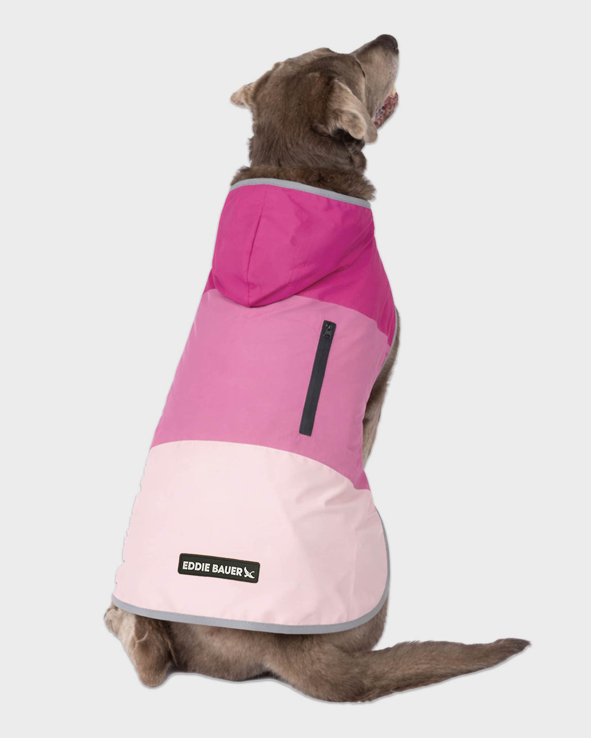 Dog Windbreaker Ravenna
