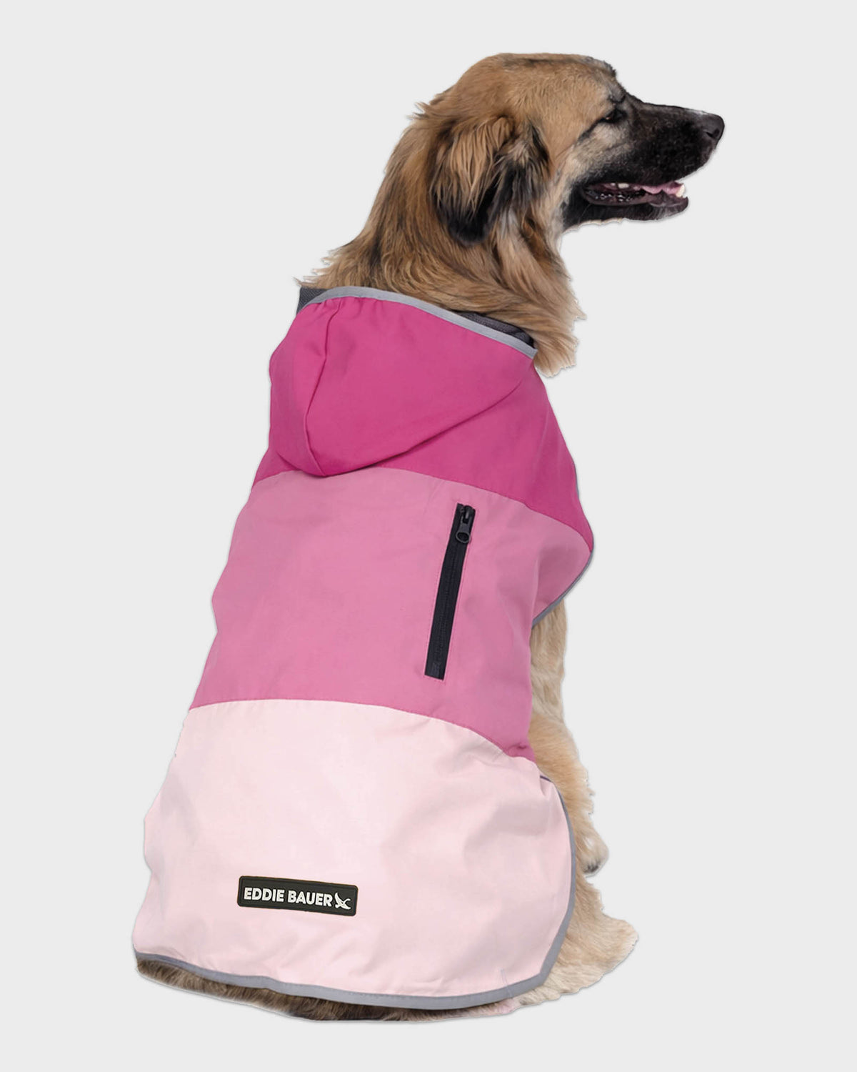 Dog Windbreaker Ravenna