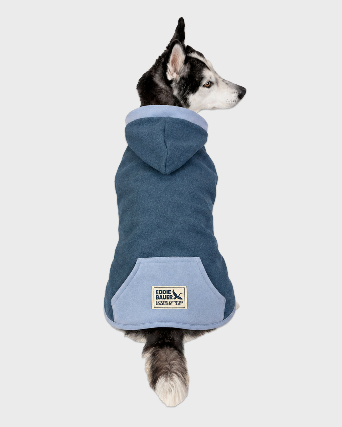 Dog Blue Hoodie with Accent Trim
